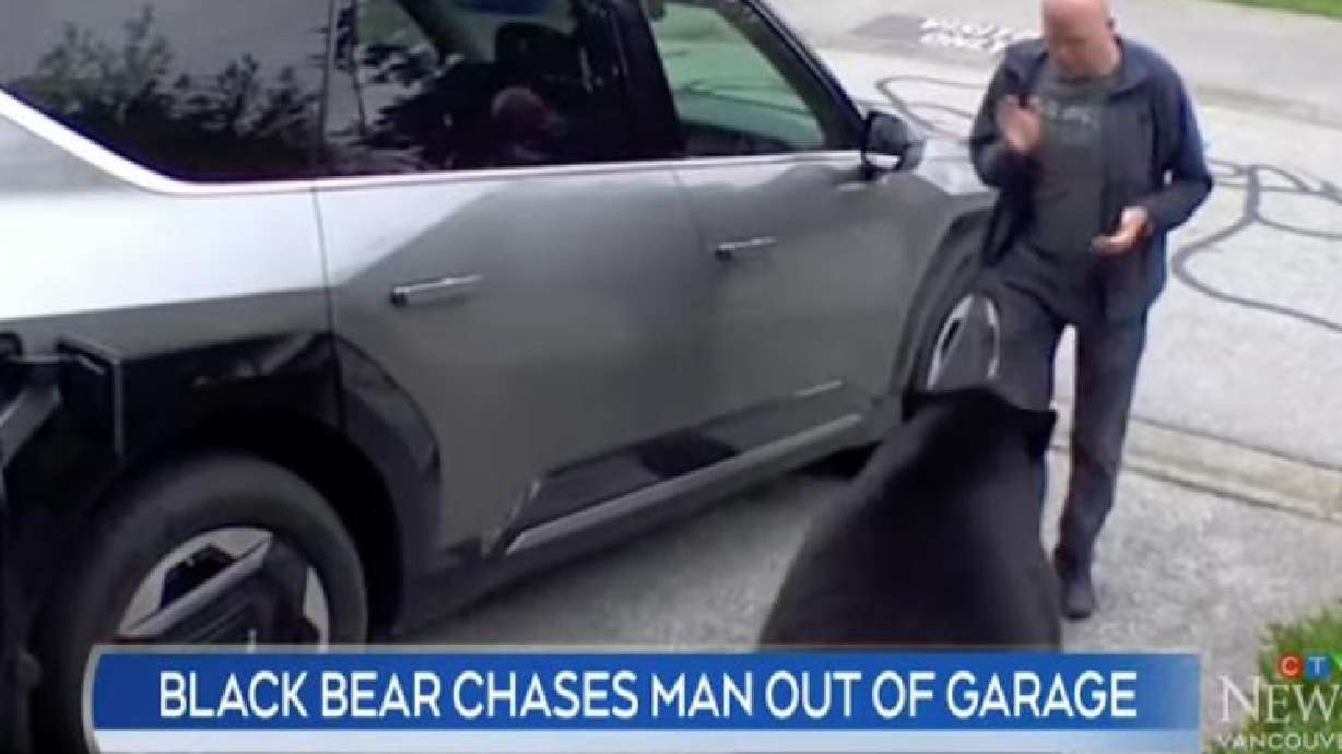 A man from Vancouver, British Columbia, is being praised for his cool-headed response to a charging black bear at his home.