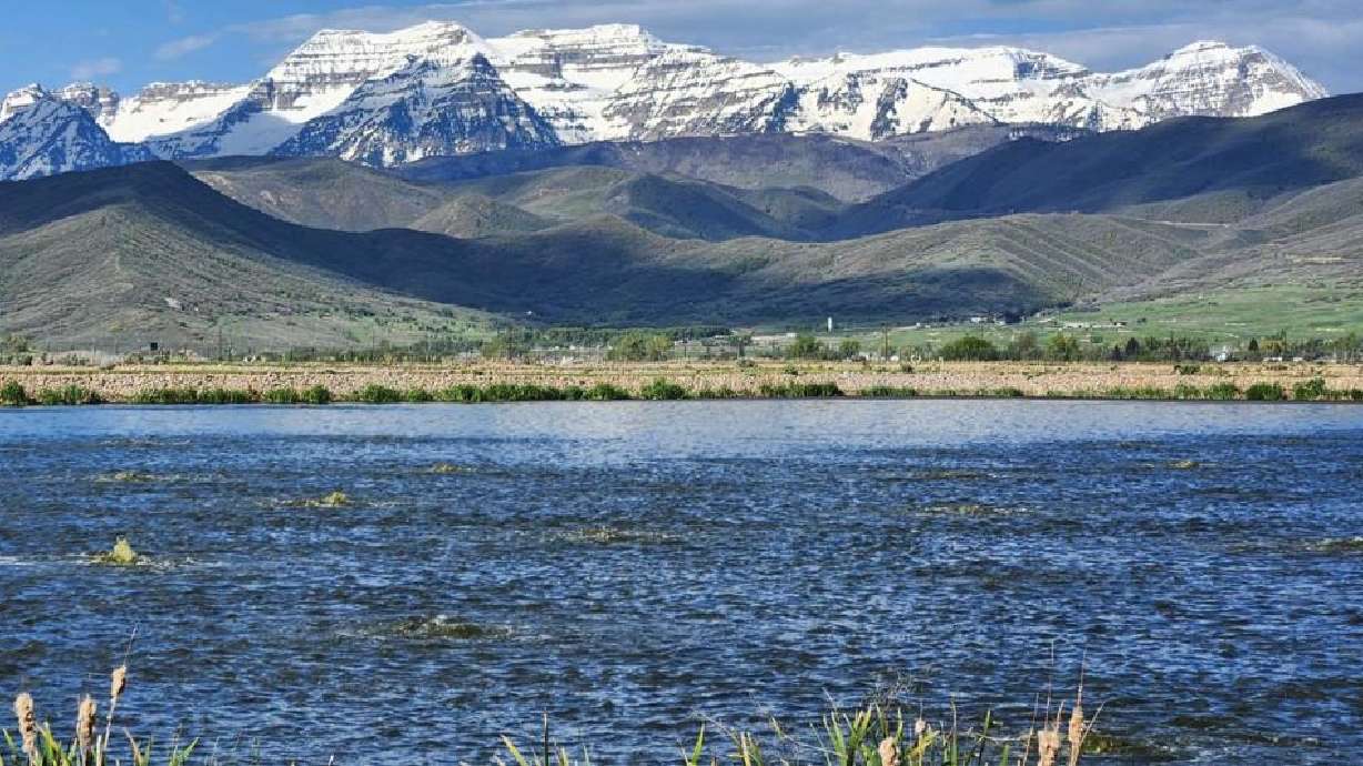 The Heber Valley Special Service District voted to withdraw an application for legal protection of the wastewater lagoons and farmland Wednesday.