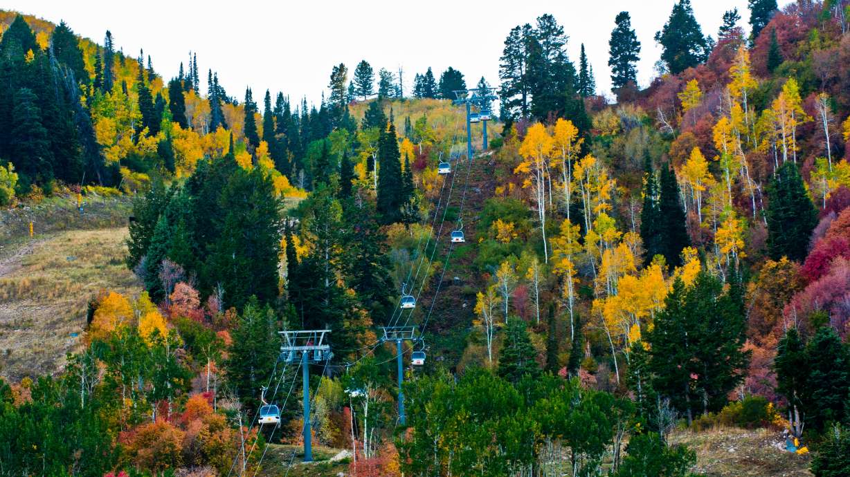 Fall foliage gondola rides at Snowbasin