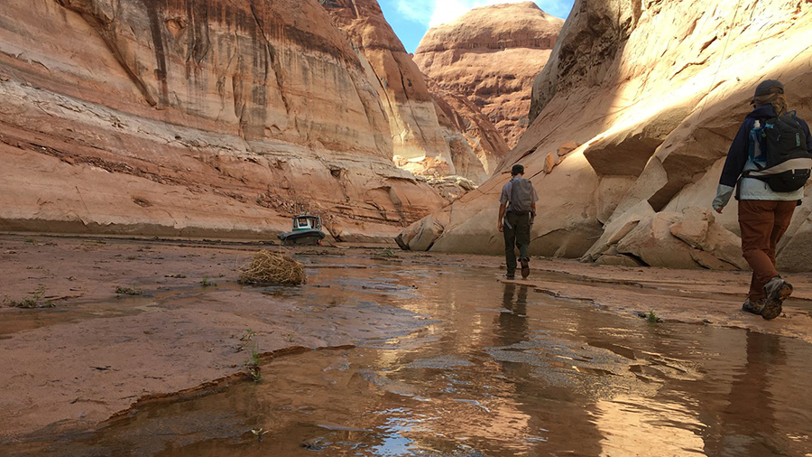 Park rangers walk back to the boat from Rainbow Bridge at lake elevation 3,529 feet. The water did not reach the trailhead at this level, so they had to walk through the wet muck. The lake level has risen enough to reattach the docks to the trailhead.