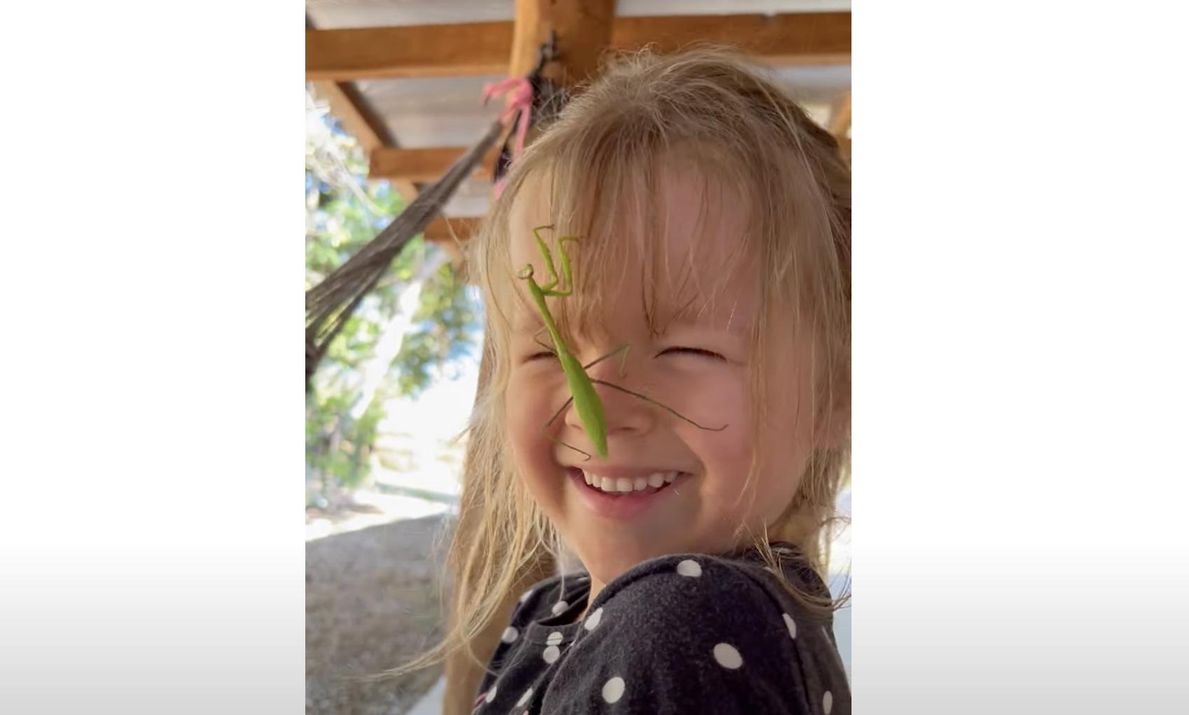 A girl in Brazil makes friends with a praying mantis.