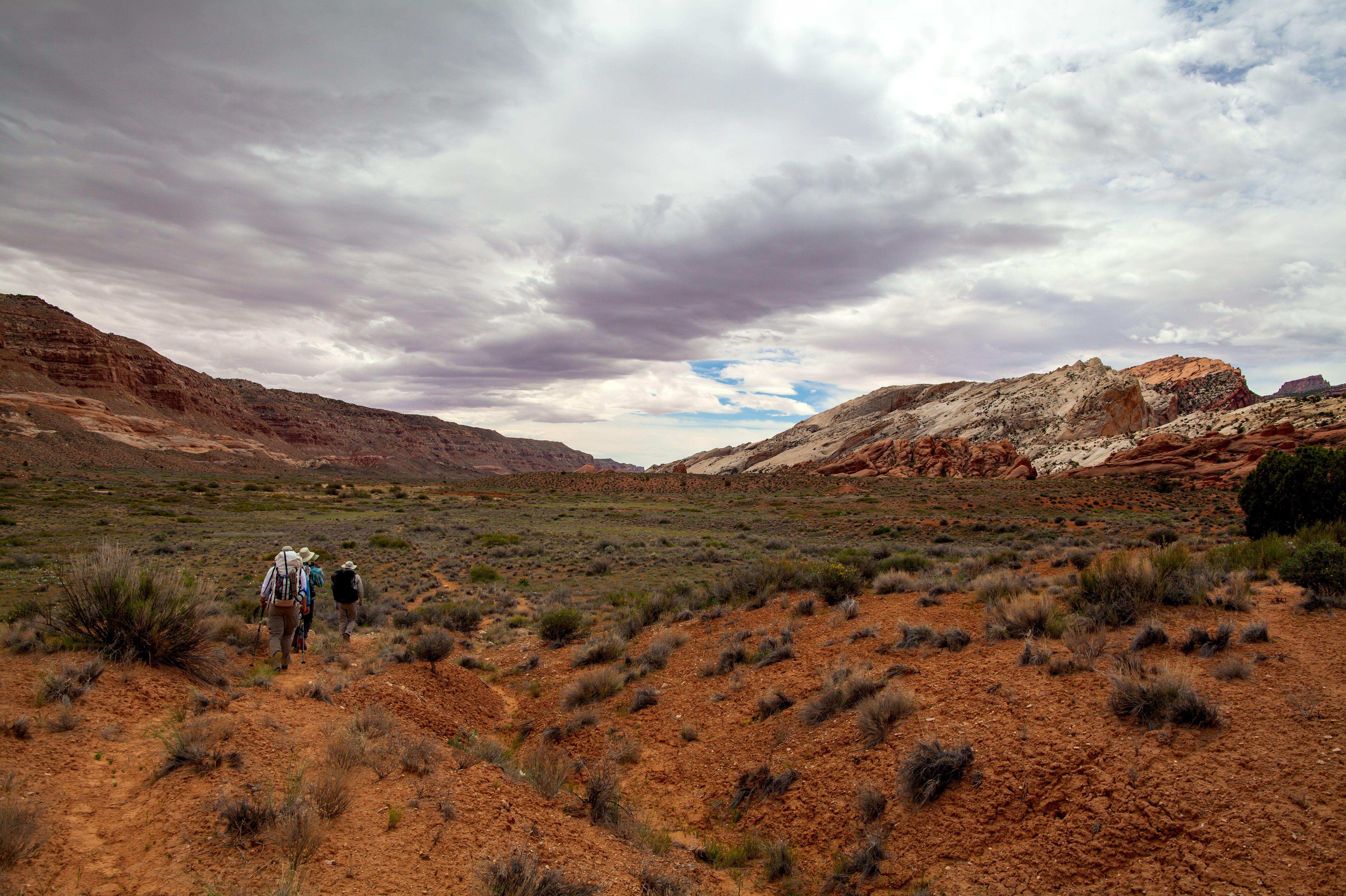 Finding great spots to reconnect with nature in America's wilderness is something author Ted Alvarez seeks to accomplish with his new guide, "Hiking Hidden Gems in America's National Parks."