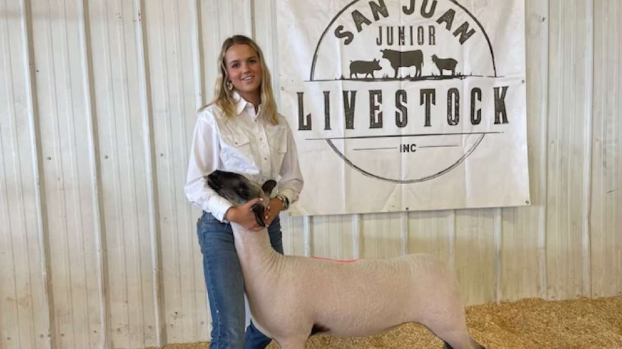 Monticello teenager Alise Lewis is seen just prior to showing her lamb at the San Juan County Fair, where she donated the proceeds of the auction to help another, in this undated photo.