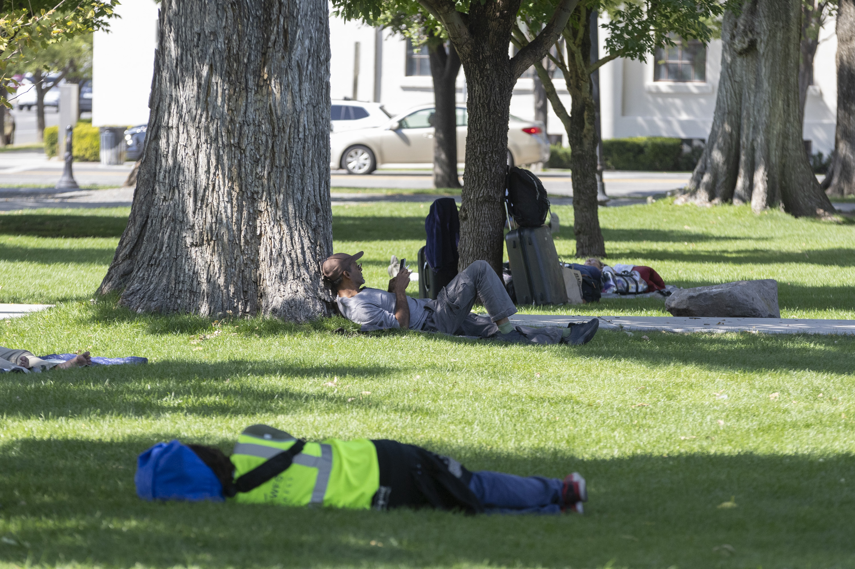 A bat found at Pioneer Park in Salt Lake City tested positive for rabies Tuesday.