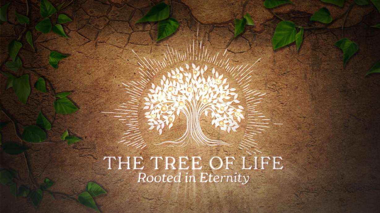 The Tree of Life is an image revered in religious texts worldwide and stands as a symbol of hope.