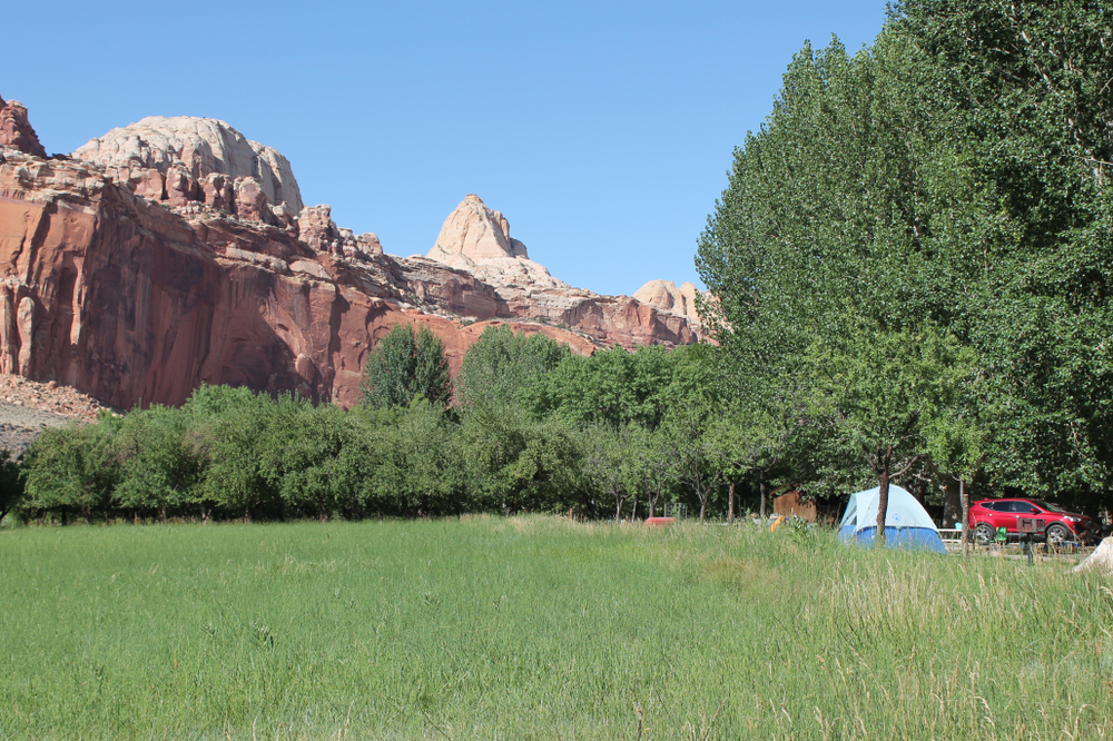 Capitol Reef National Park will now use a year-round reservation system for its Fruita Campground.