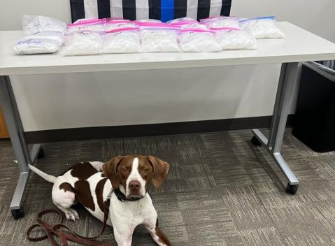 Police recovered 20 pounds of suspected narcotics after police K-9 Gunner alerted on a pickup truck during a traffic stop on northbound Interstate 15 in Washington County, Sept. 29.  