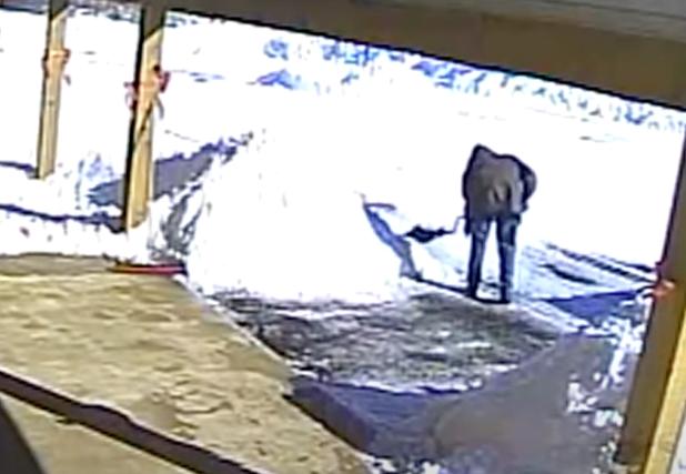 A man clears snow from his driveway and the unfortunate happens.