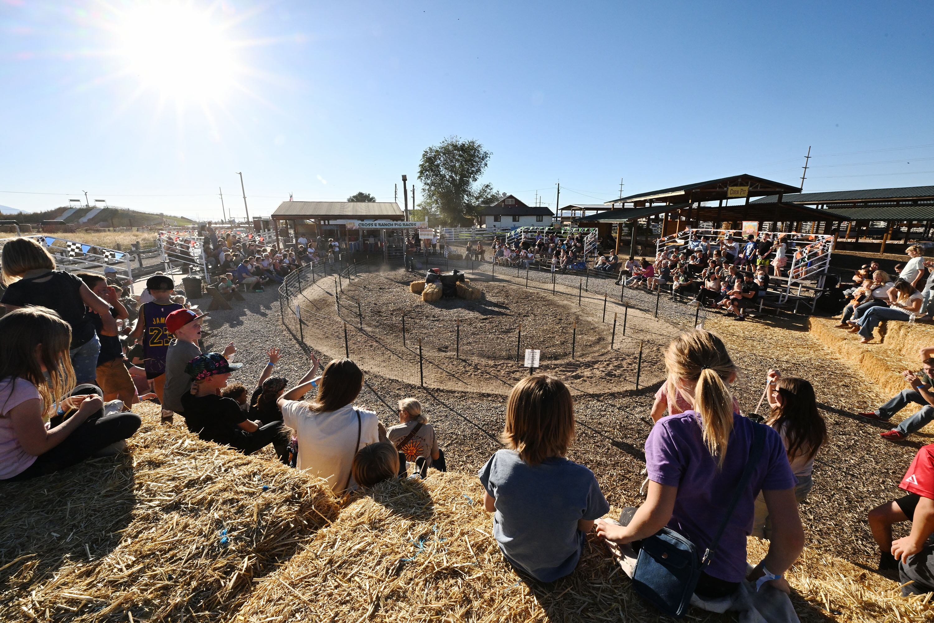 Guests prepare to watch a pig race while at the Cross E Ranch during the Fall Festival in North Salt Lake on Sept. 24.