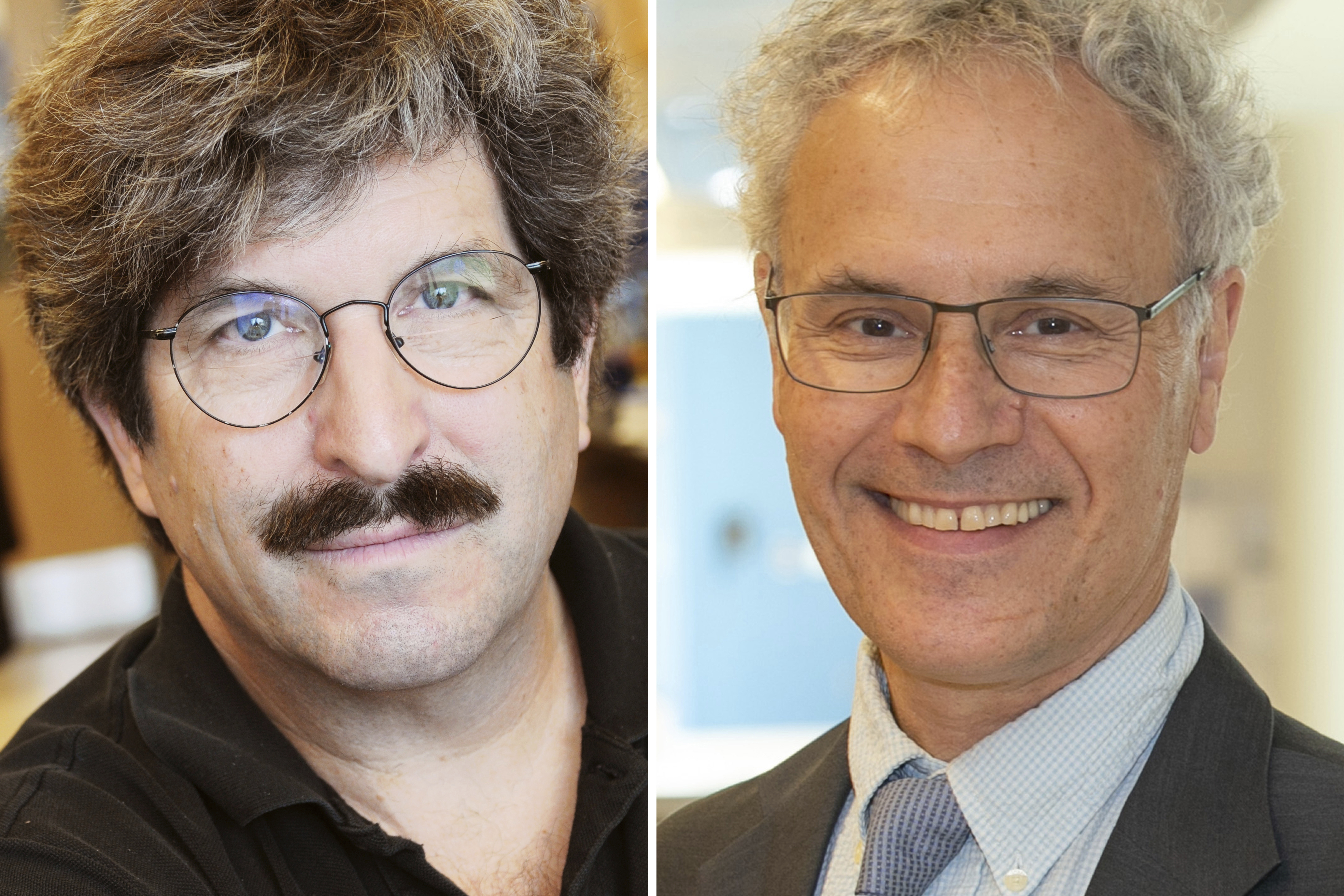 American molecular biologist Gary Ruvkun, left, and professor of molecular medicine, Victor Ambros. They won the Nobel Prize in Physiology or Medicine Monday.