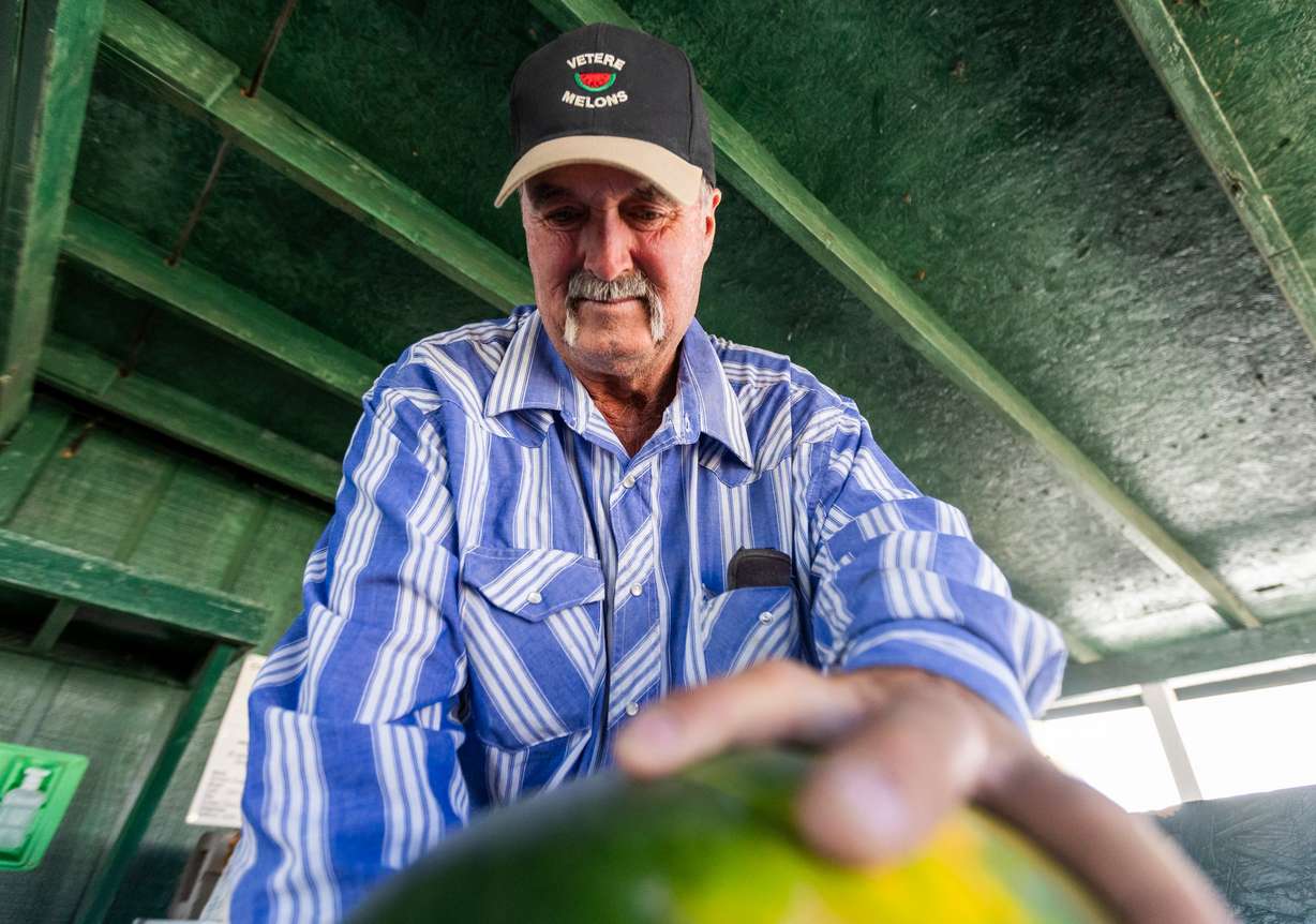 Greg Vetere slices into a watermelon to give out samples to customers at his families melon stand in Green River on Sept. 19. Vetere is a third-generation melon farmer continuing the farming tradition started by his grandfather.