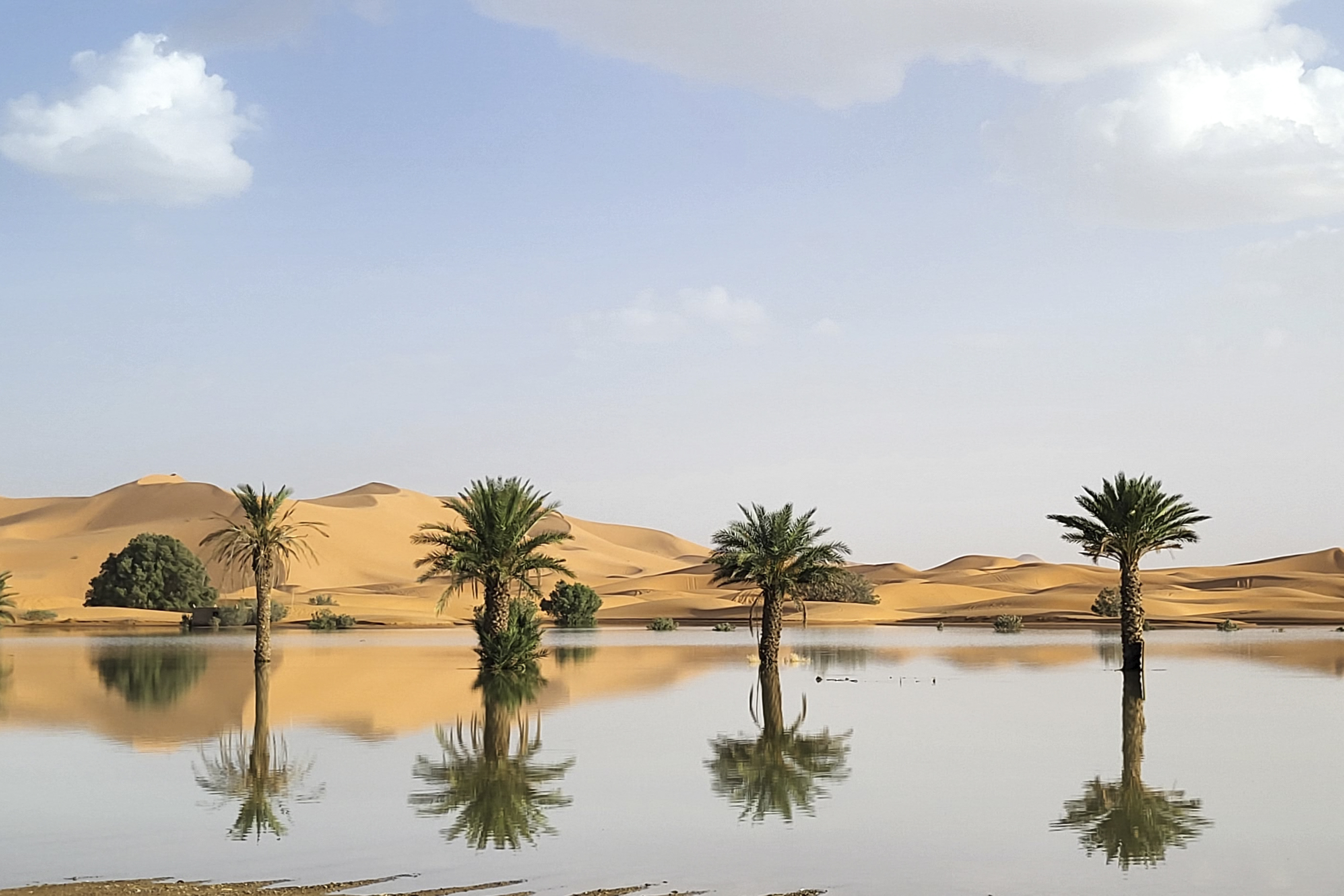 Palm trees are reflected in a lake caused by heavy rainfall in the desert town of Merzouga, near Rachidia, southeastern Morocco, Oct. 2.