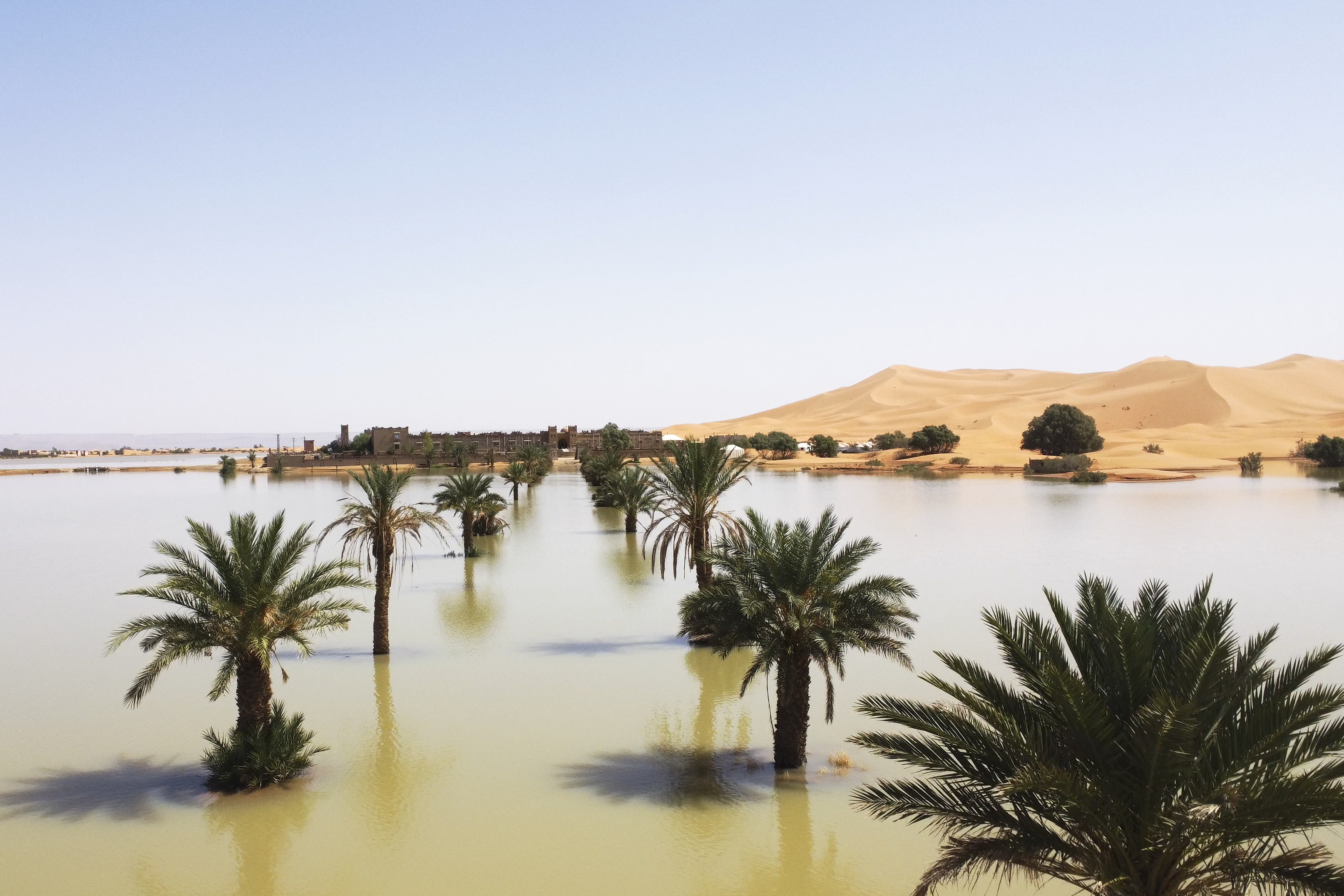 Palm trees are flooded in a lake caused by heavy rainfall in the desert town of Merzouga, near Rachidia, southeastern Morocco, Oct. 2.