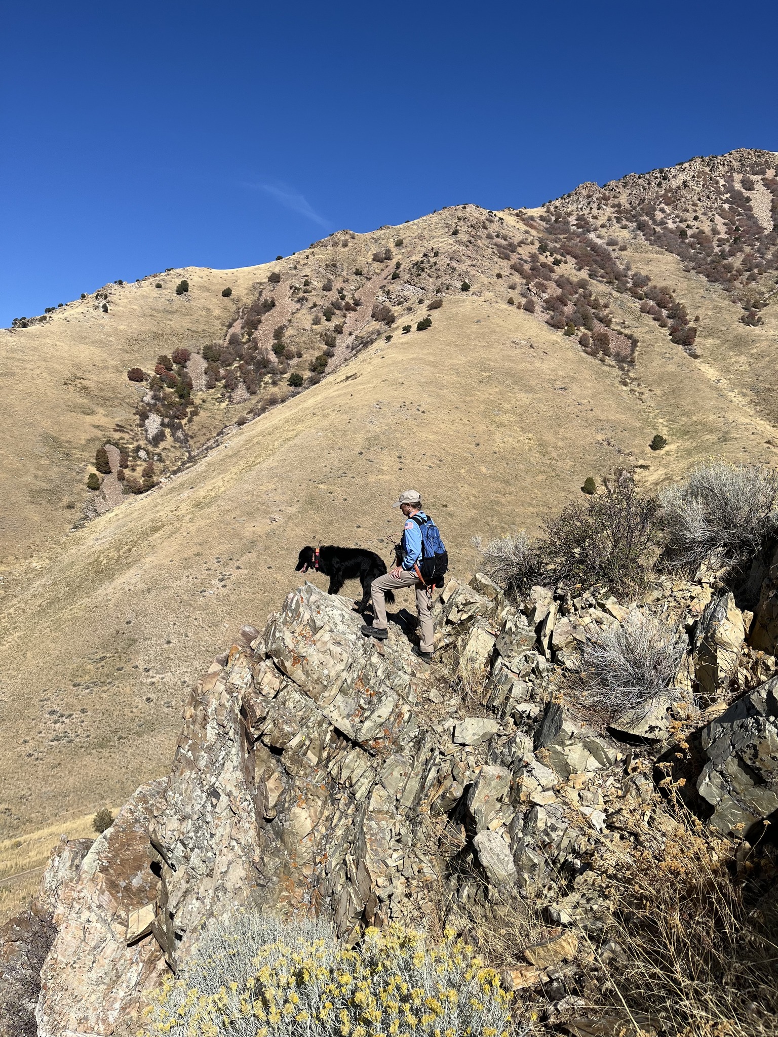 Brigham City police, with the help of cadaver dogs, attempted to locate additional skeletal remains on Oct. 3, after a skull was found near the city.