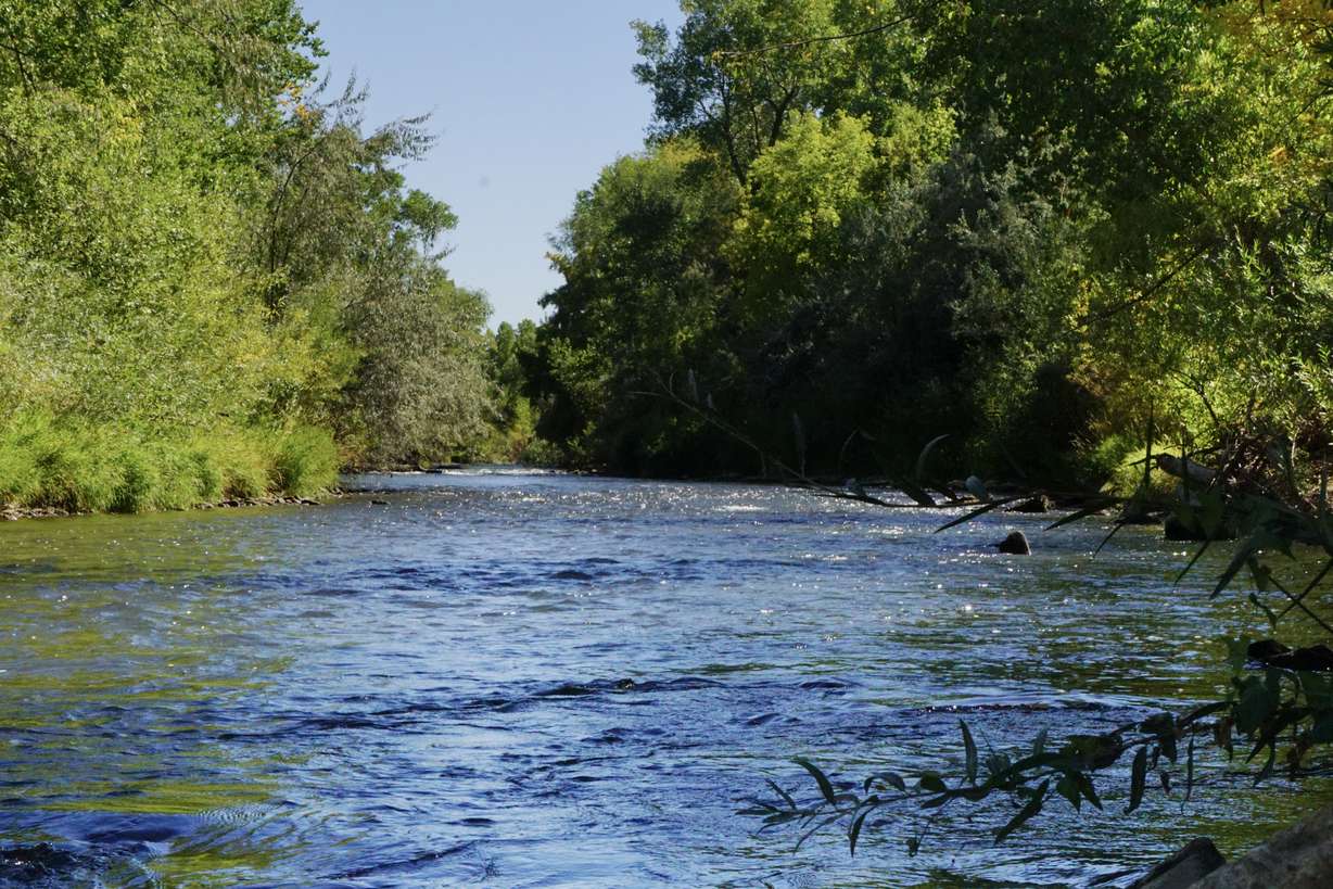 The Weber River near the Purins' property, on Sept. 25.