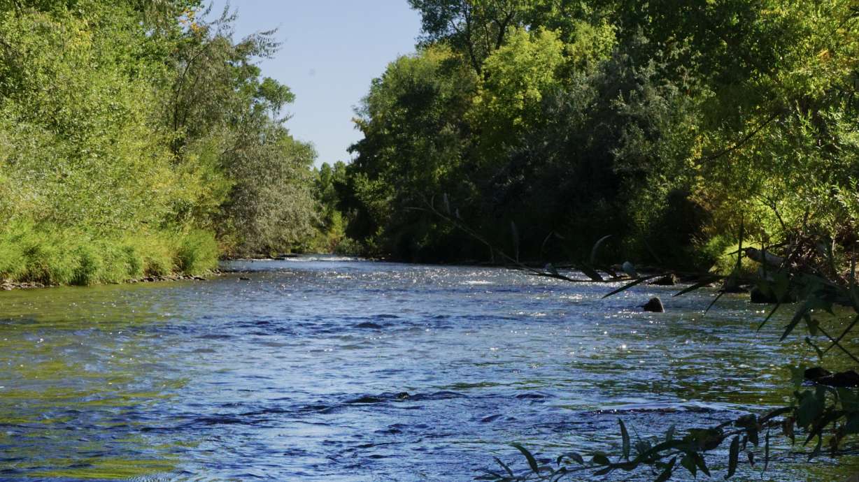 A 17-year-old boy who was airlifted to a hospital Saturday evening after nearly drowning in the Weber River has died, police say.