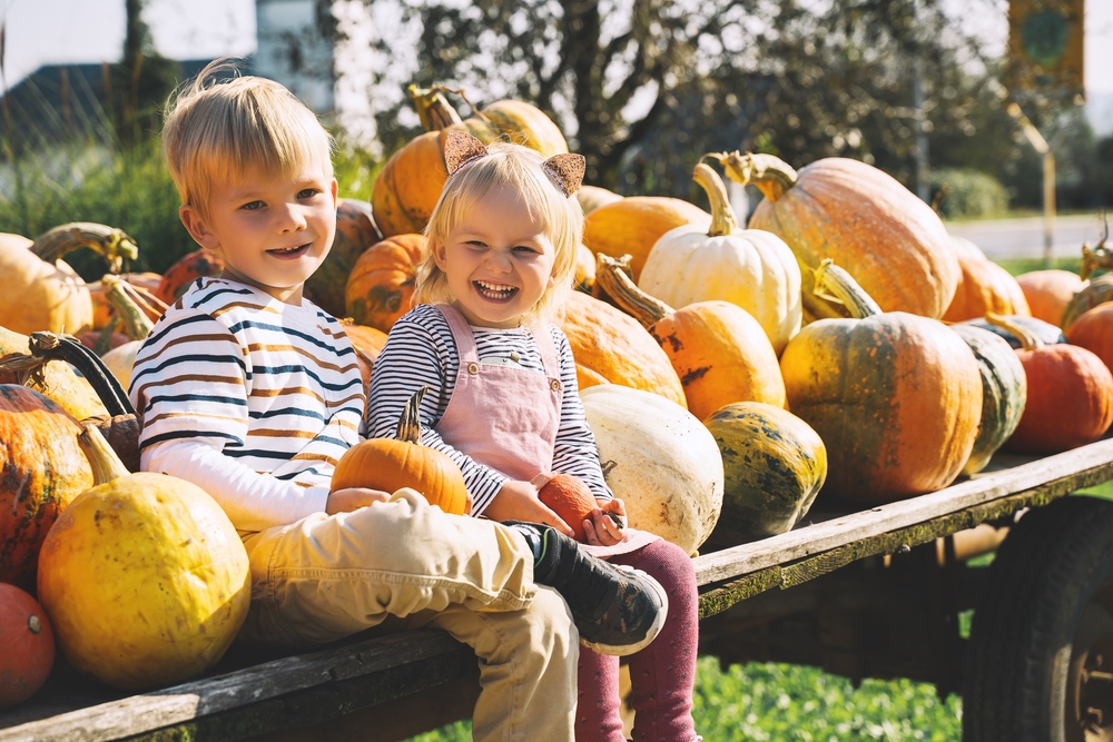 7 fall pumpkin patches and corn mazes in Utah Valley