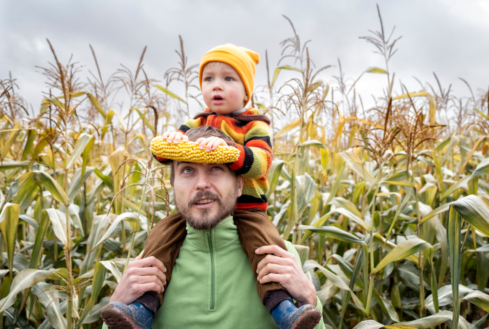 7 fall pumpkin patches and corn mazes in Utah Valley