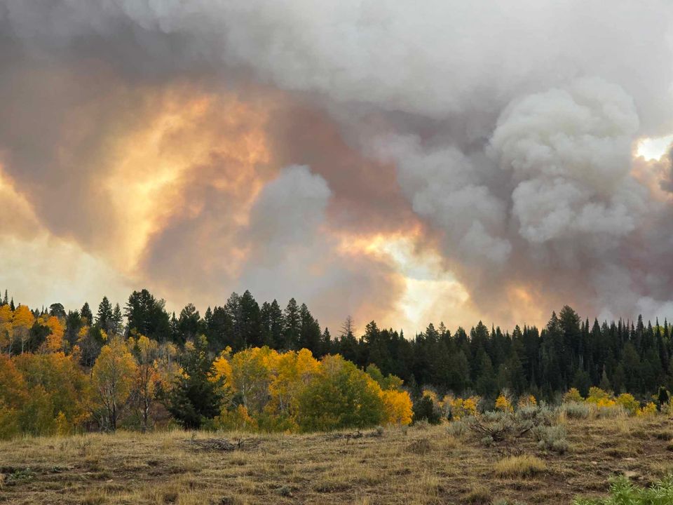 The ongoing Yellow Lake Fire has become the biggest in the state of Utah in the 2024 fire season.