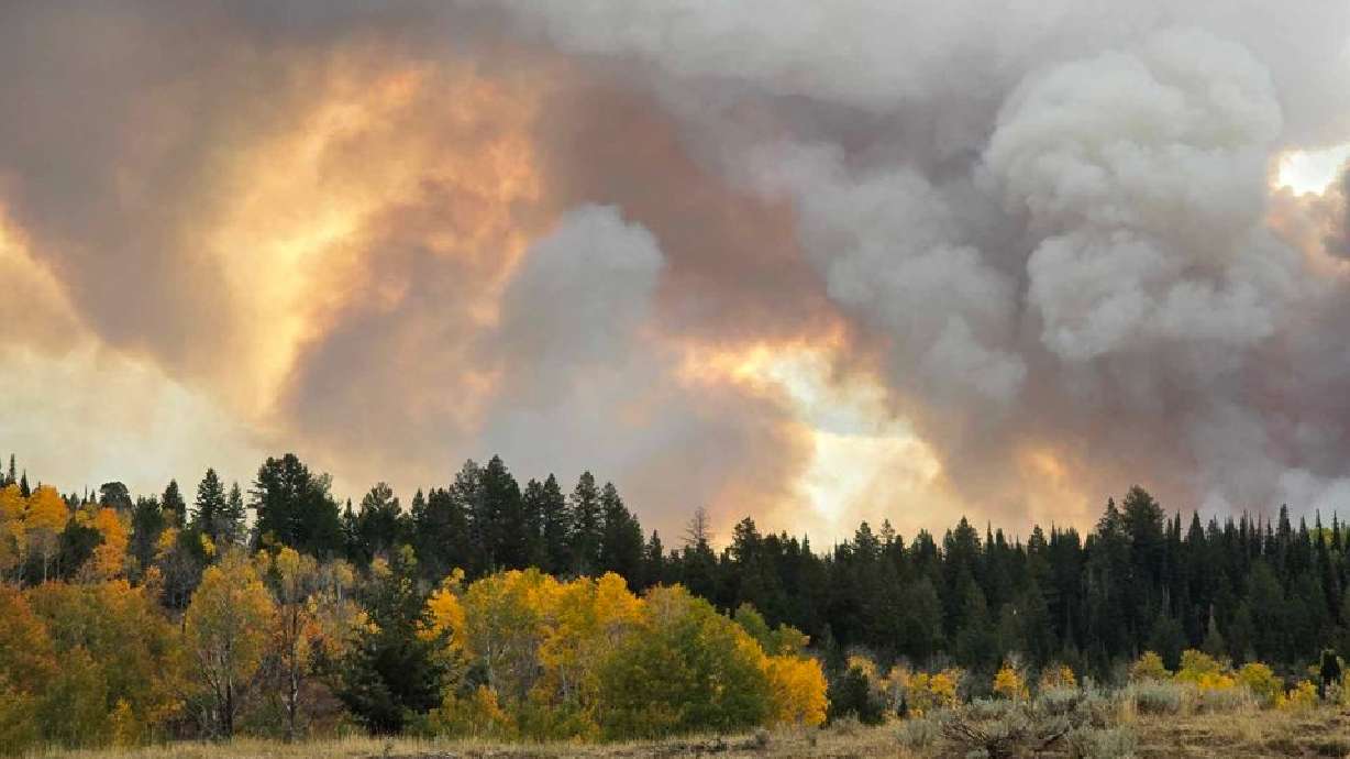 The ongoing Yellow Lake Fire has become the biggest in the state of Utah in the 2024 fire season.