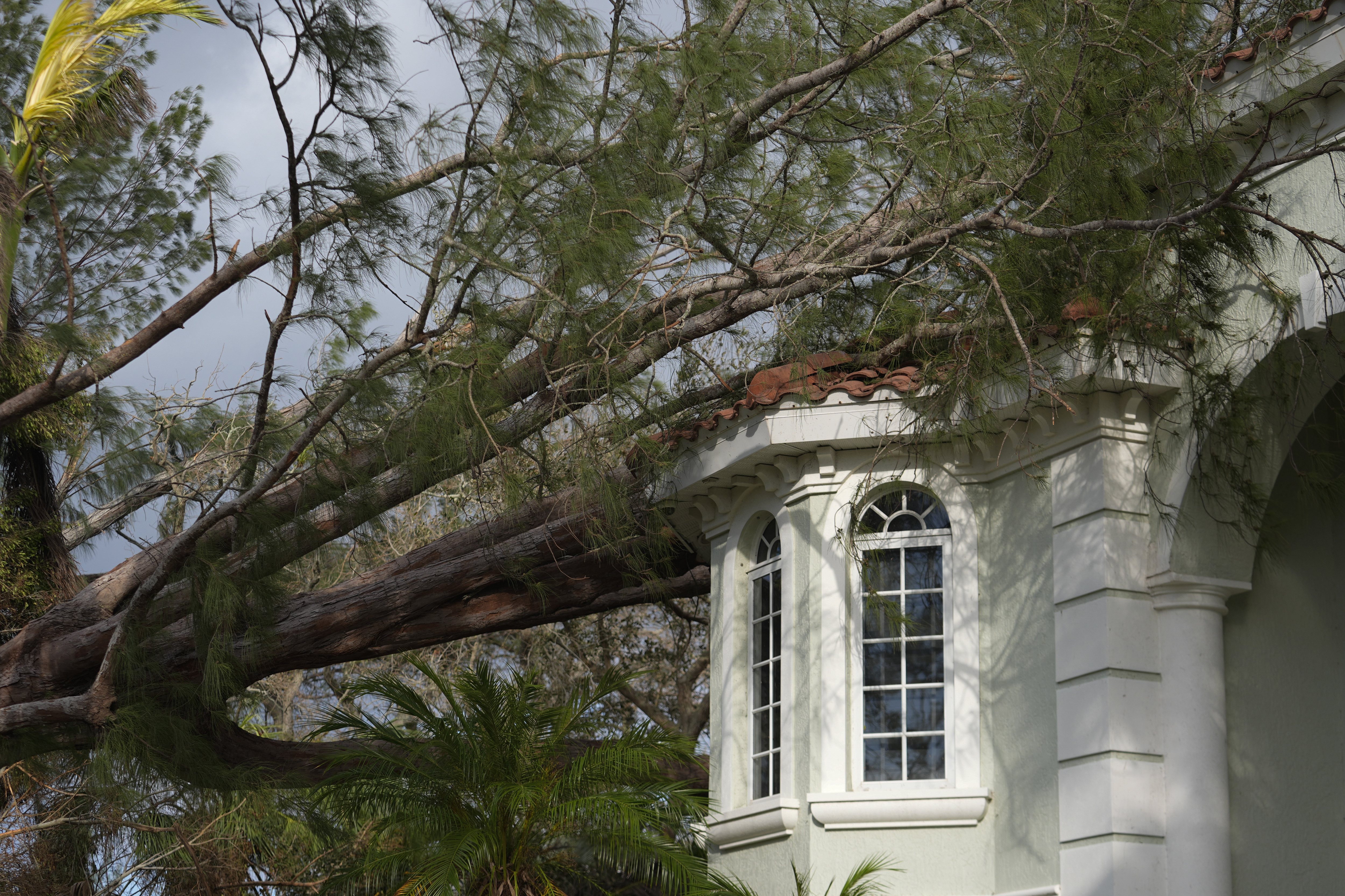 A tree lies atop a stately home in Siesta Key, Fla., following the passage Hurricane Milton, Thursday. Florida residents are repairing the damage and cleaning up debris on Friday.