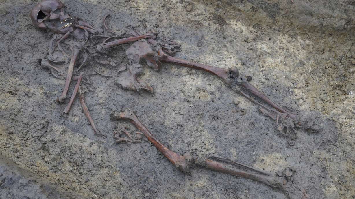 Skeletons and skulls sit in graves at an excavation site of a 10th century Viking burial ground in Aasum, Denmark, Oct. 7. Archaeologists have unearthed a Viking Age burial ground containing some 50 "exceptionally well-preserved" skeletons.