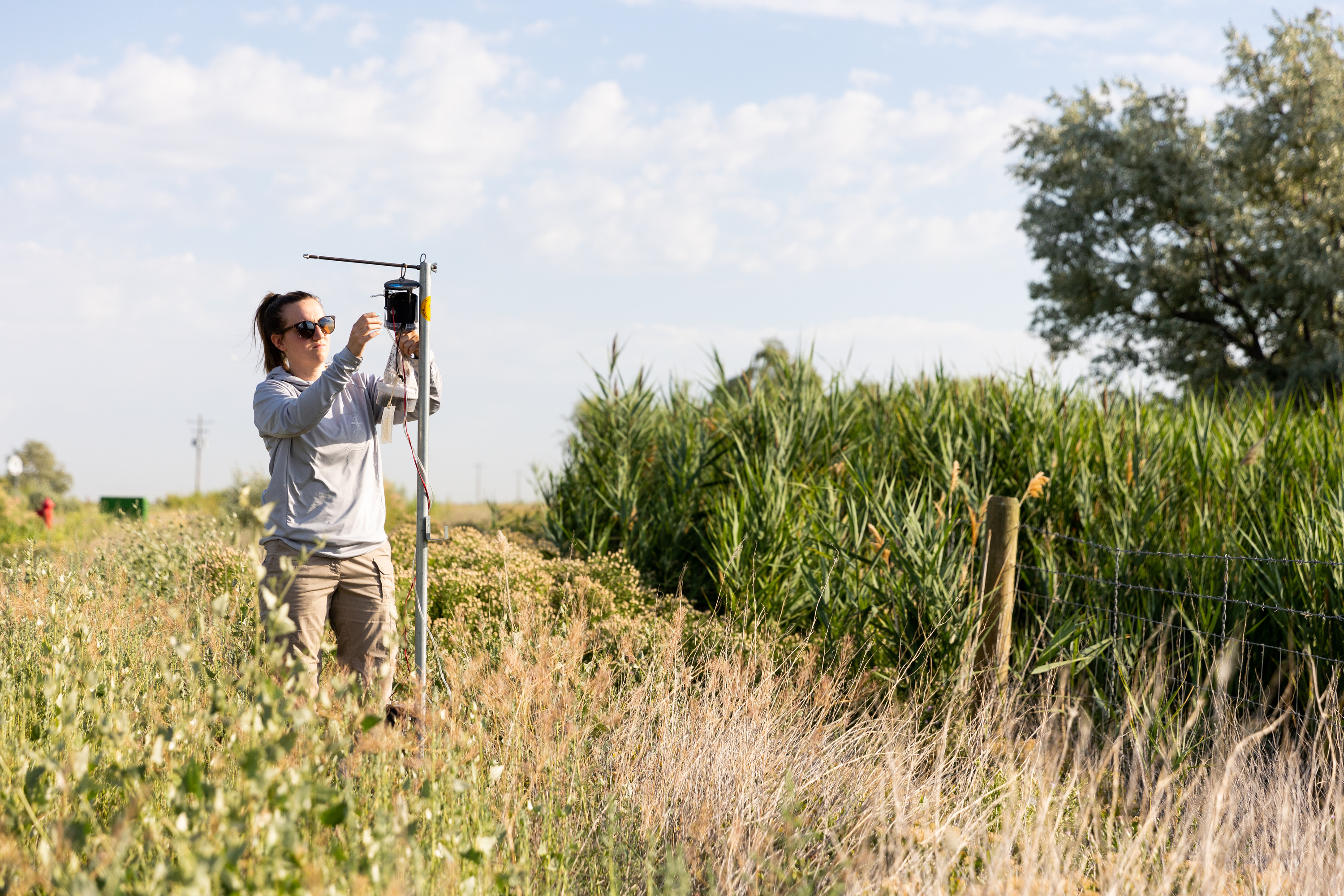 Angelena Todaro, a research intern with the Salt Lake Mosquito Abatement District, examines a mosquito trap in Salt Lake City on July 18, 2023. The district is seeking a property tax increase to combat rising costs in operations. 