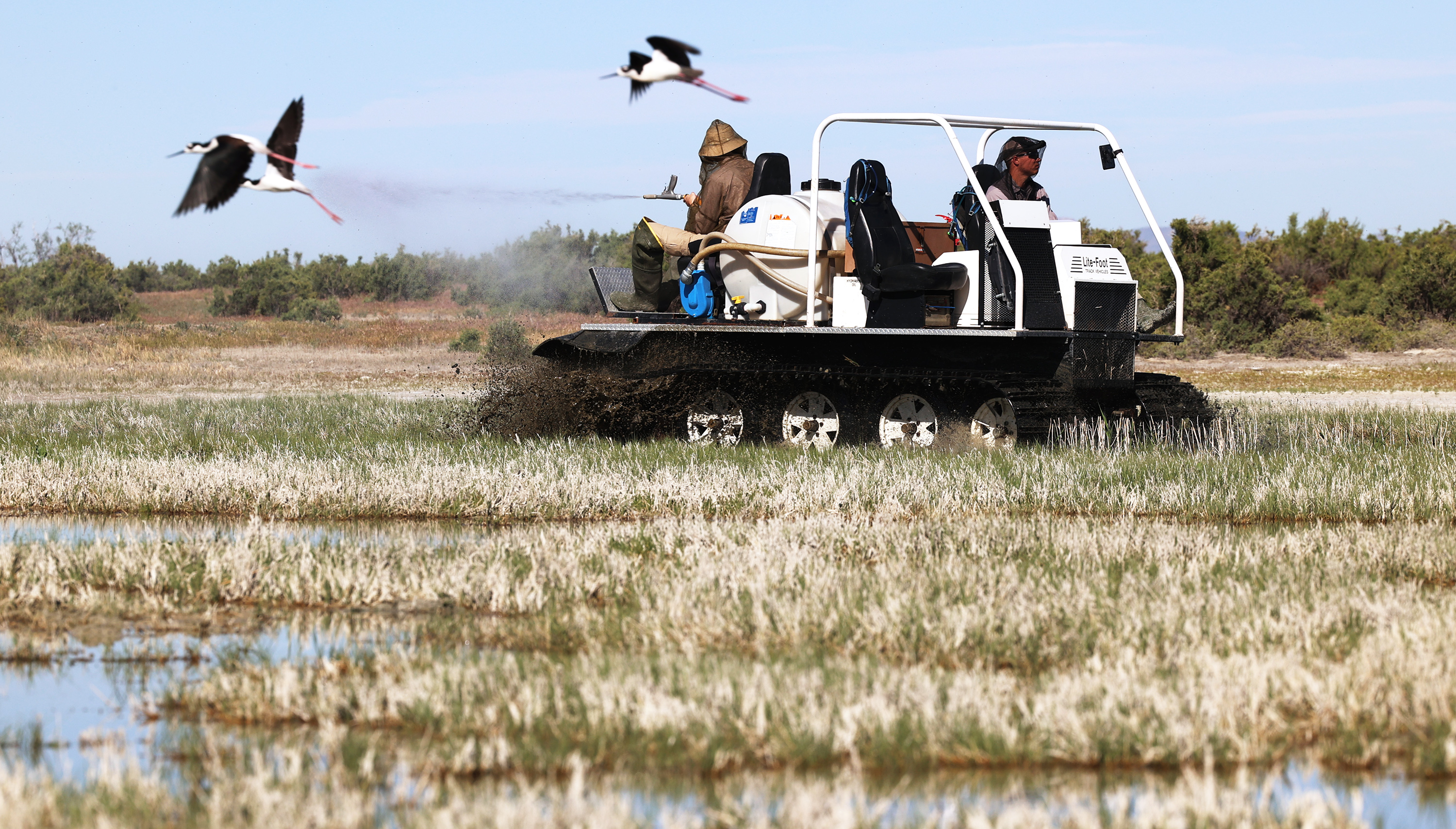 Sam Nelson, left, and Seth Summerhays, both with the Salt Lake Mosquito Abatement, use a track machine to spray VectoBac 12AS, a biological larvicide, to kill mosquito larvae in the wetlands north and west of  Salt Lake City on May 28, 2021.