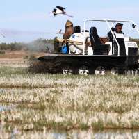 West Nile Virus found in one-third of mosquitos sampled within Salt Lake City district