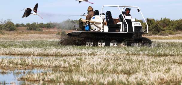 West Nile Virus found in one-third of mosquitos sampled within Salt Lake City district
