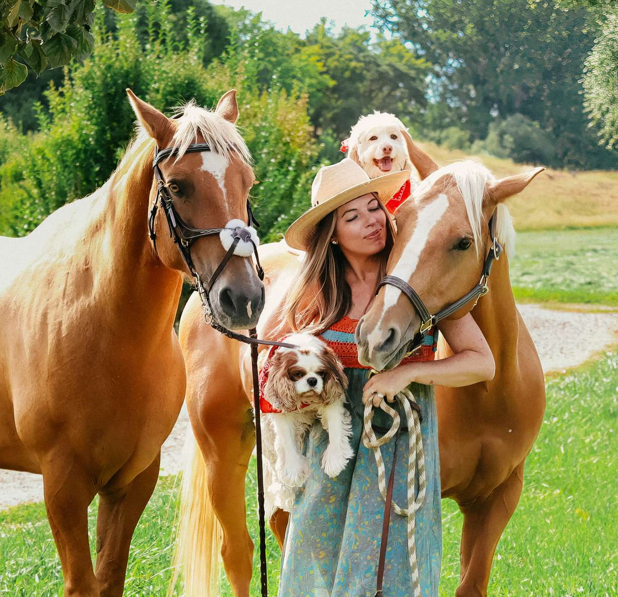 Provo resident Jaisa Bishop poses with her horses Sundown and Cash, and her dogs Gracie and Macy. Bishop wrote a story that was turned into an animated film and will be showing in theaters starting on Oct. 17.