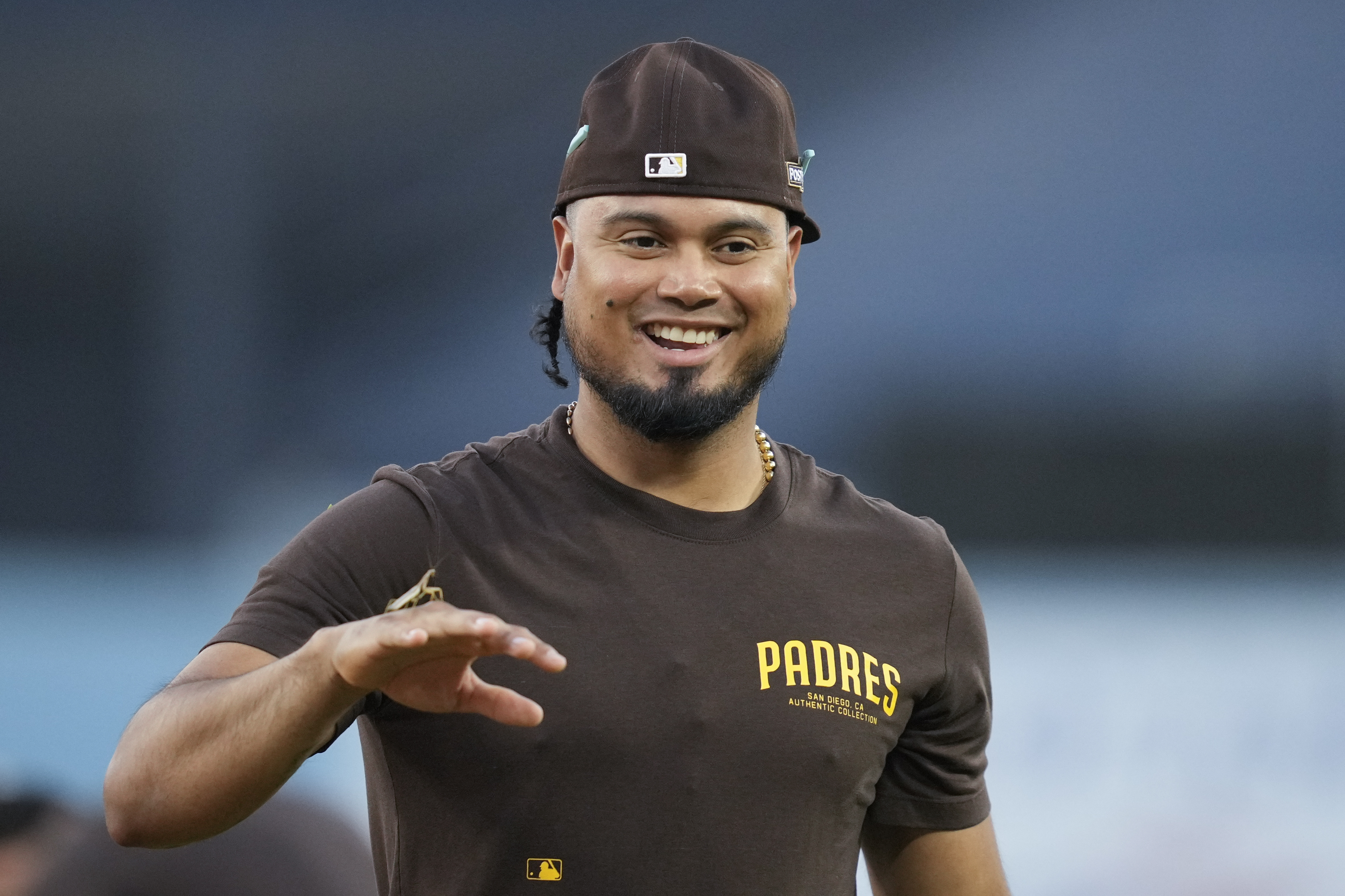 San Diego Padres' Luis Arraez has a praying mantis on his hand during practice ahead of Game 5 of a baseball National League Division Series against the Los Angeles Dodgers, Thursday, Oct. 10, 2024, in Los Angeles.