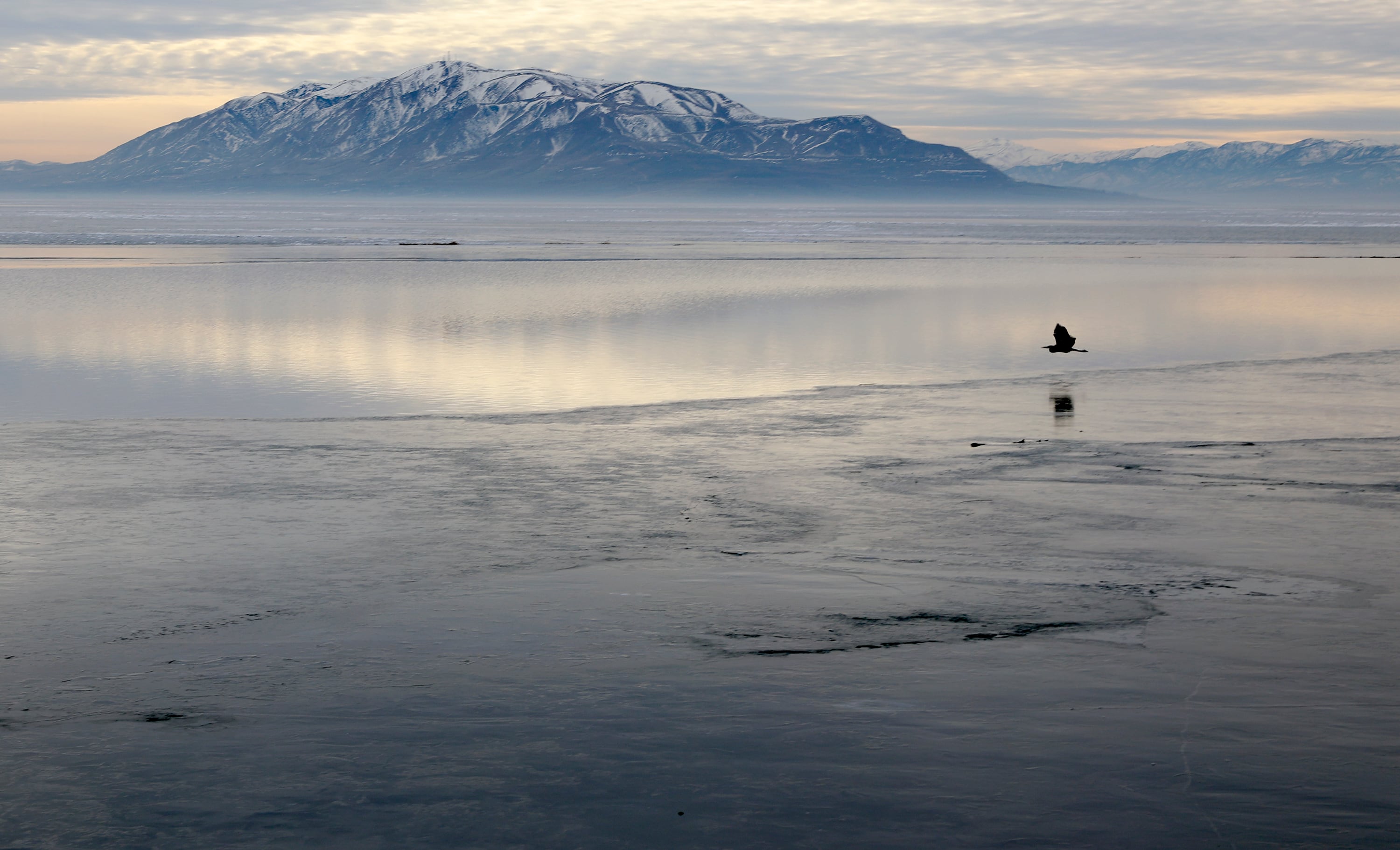 Birds land on Utah Lake near Utah Lake State Park in Provo on Jan. 13, 2022. Stakeholders gathered at Utah Valley University this week to discuss the future of the lake.