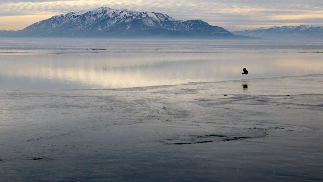 Birds land on Utah Lake near Utah Lake State Park in Provo on Jan. 13, 2022. Stakeholders gathered at Utah Valley University this week to discuss the future of the lake.