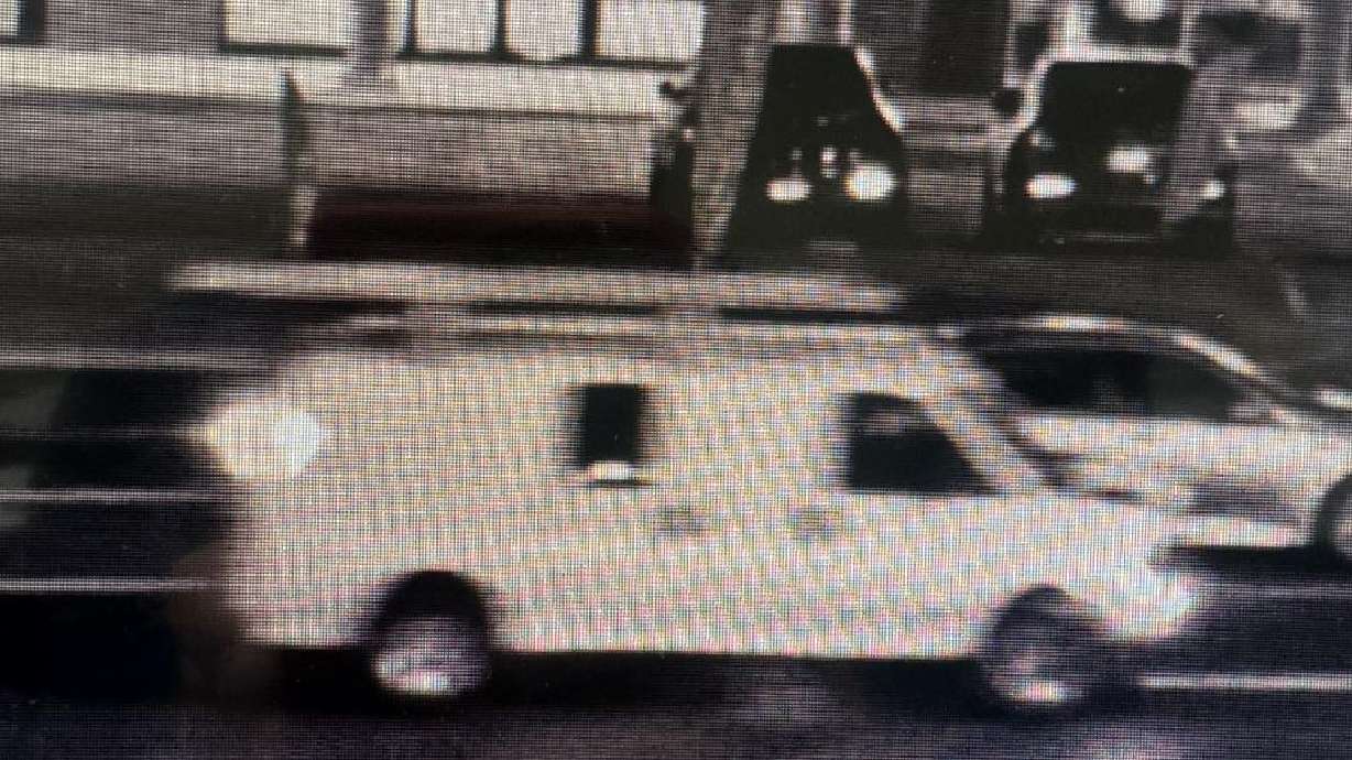 Layton police on Thursday said the department is searching for a white cargo van that hit a man as he tried to cross the street Wednesday night.