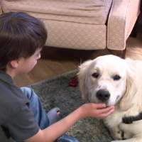 Worth the wait: Son with Down syndrome gets service dog