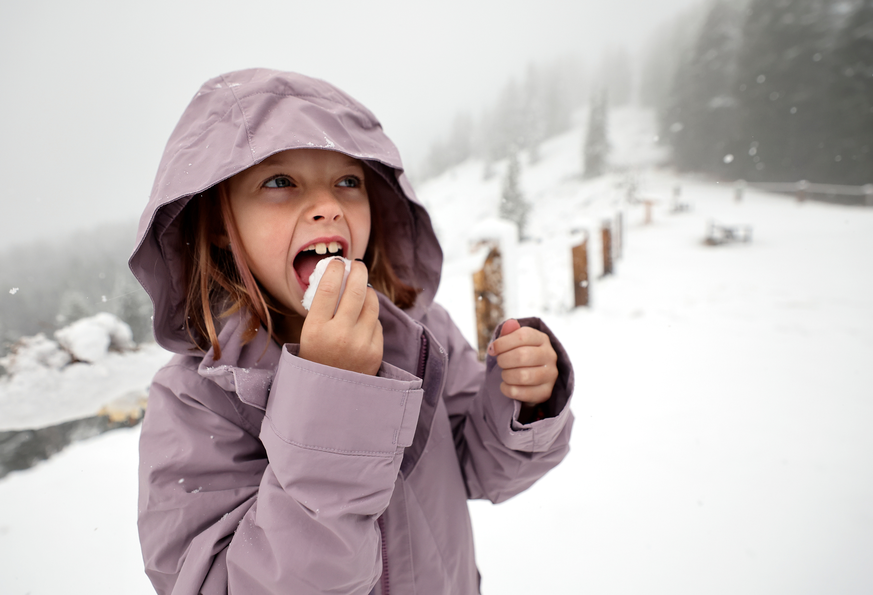 Haddie McGough, 8, eats snow at the Guardsman Pass Overlook during a snow storm on Thursday.