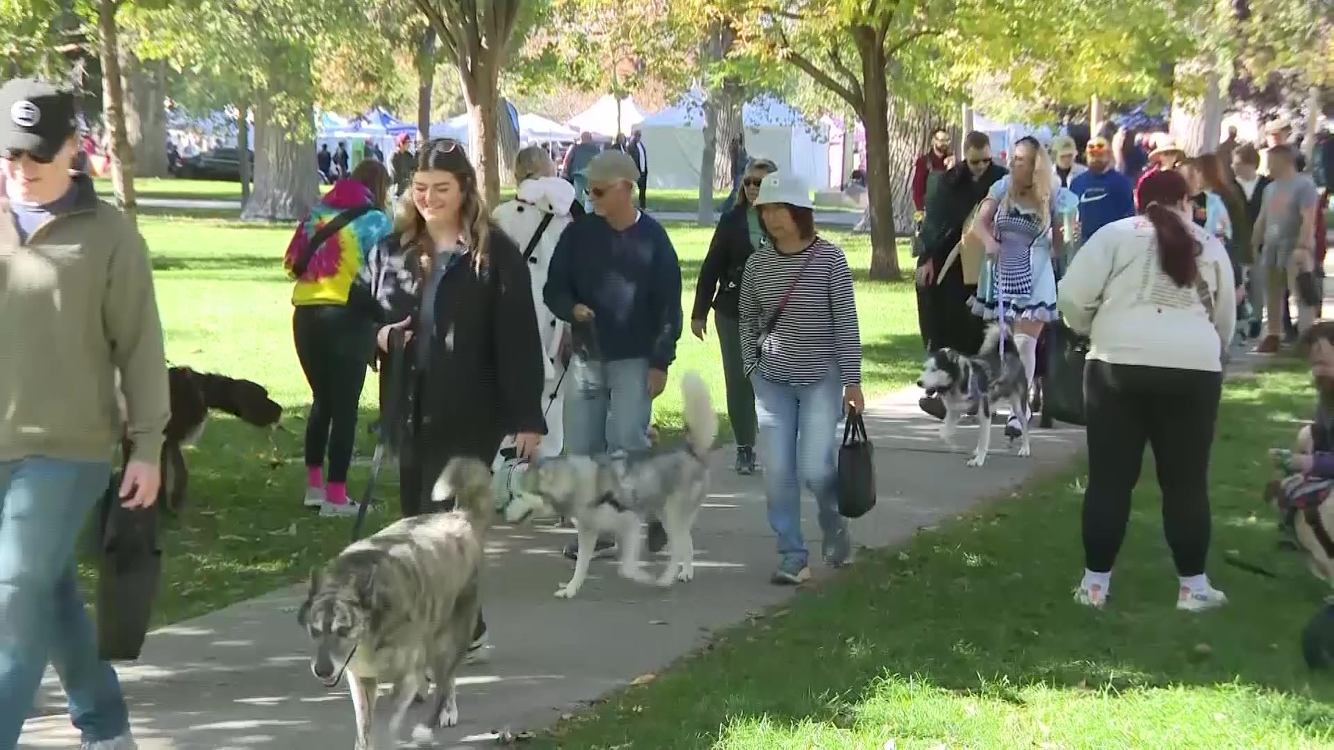 Owners and pets walking around Liberty Park on Oct. 19 during Best Friends Animals Society's Strut Your Mutt fundraiser.