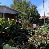 From disliking to loving vegetables, Utah couple runs nonprofit to help people grow their own