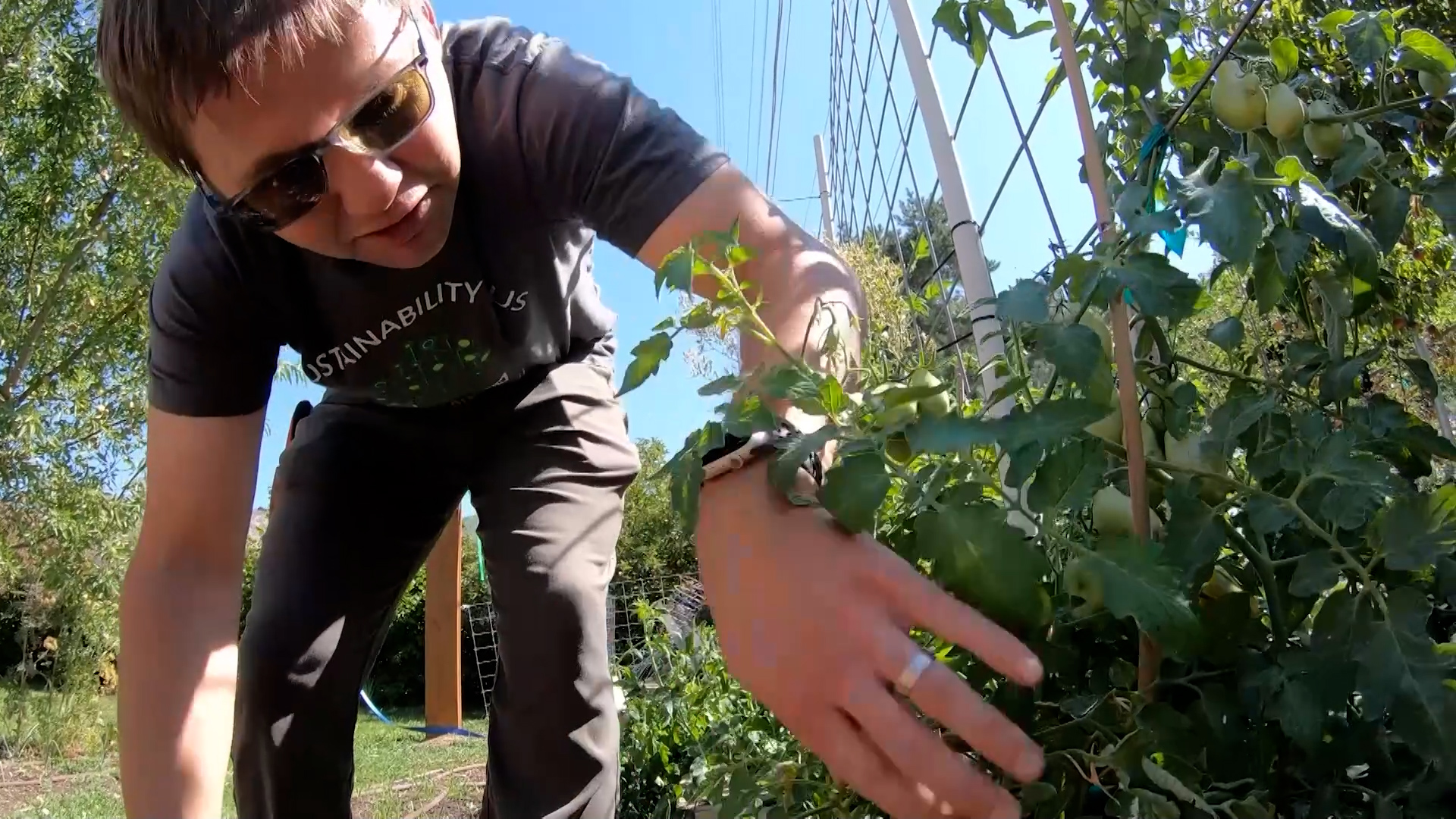 John Trimble and his wife, Holly Trimble, run a nonprofit in Ogden to help others grow their own vegetables.