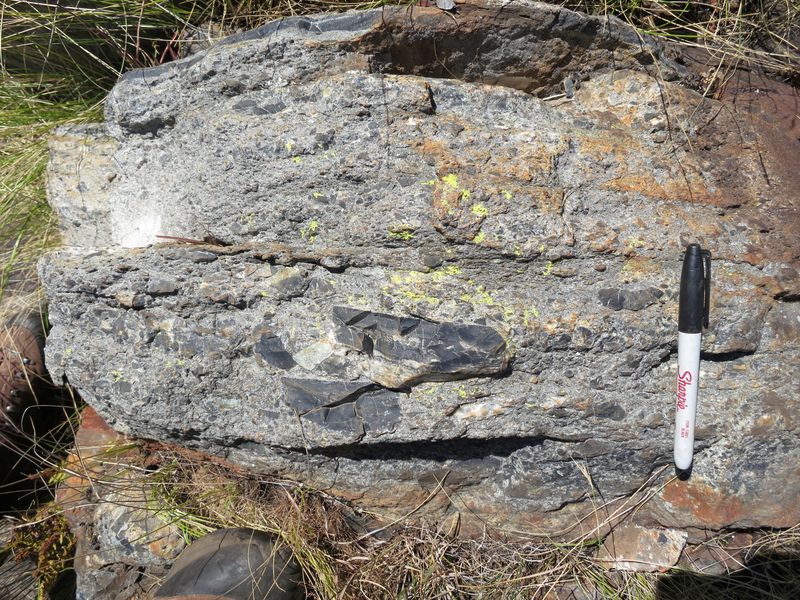 A bed of rock showing chunks of ripped up seafloor following a meteorite impact about 3.26 billion years ago, in northeastern South Africa in this undated image. New research shows that disaster may have been beneficial for the early evolution of life.