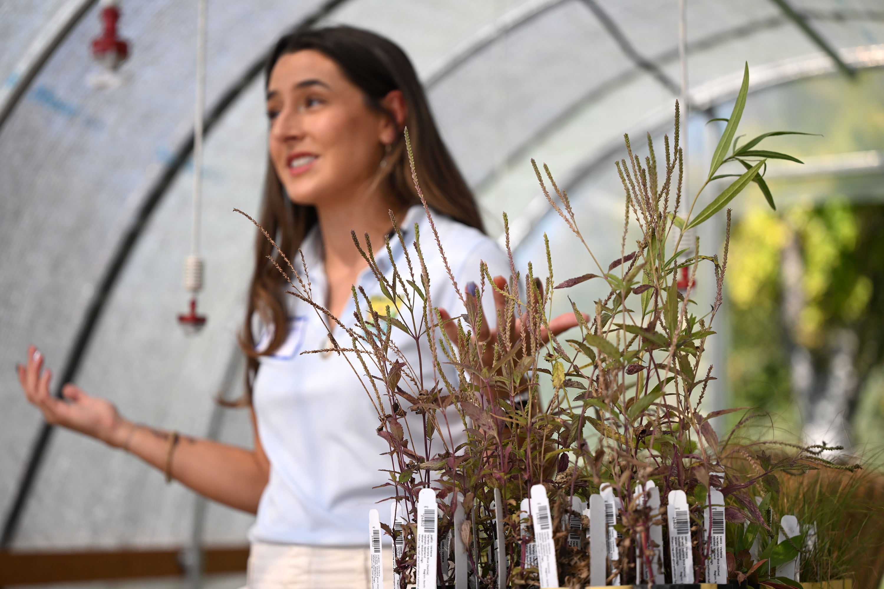 Addy Valdez, a conservation biologist with Utah Lake Authority, discusses work that helped in the effort to reduce phragmites at the lake by 70% at UVU on Monday.