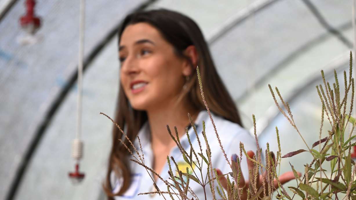 Addy Valdez, a conservation biologist with Utah Lake Authority, discusses work that helped in the effort to reduce phragmites at the lake by 70% at UVU on Monday.