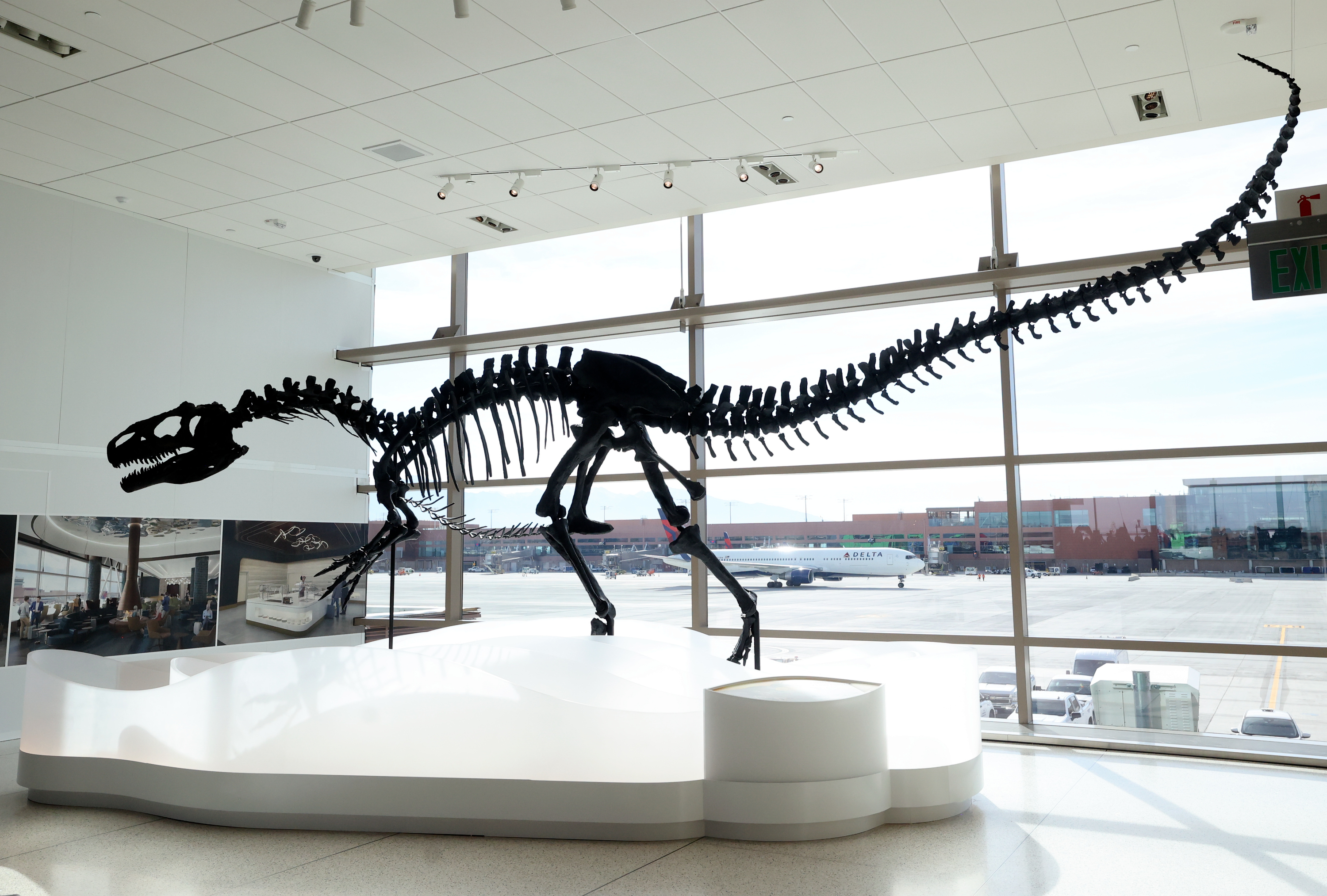 A replica of an allosaurus skeleton, made from the original found at Dinosaur National Monument, is on display at the Salt Lake City International Airport in Salt Lake City on Tuesday.