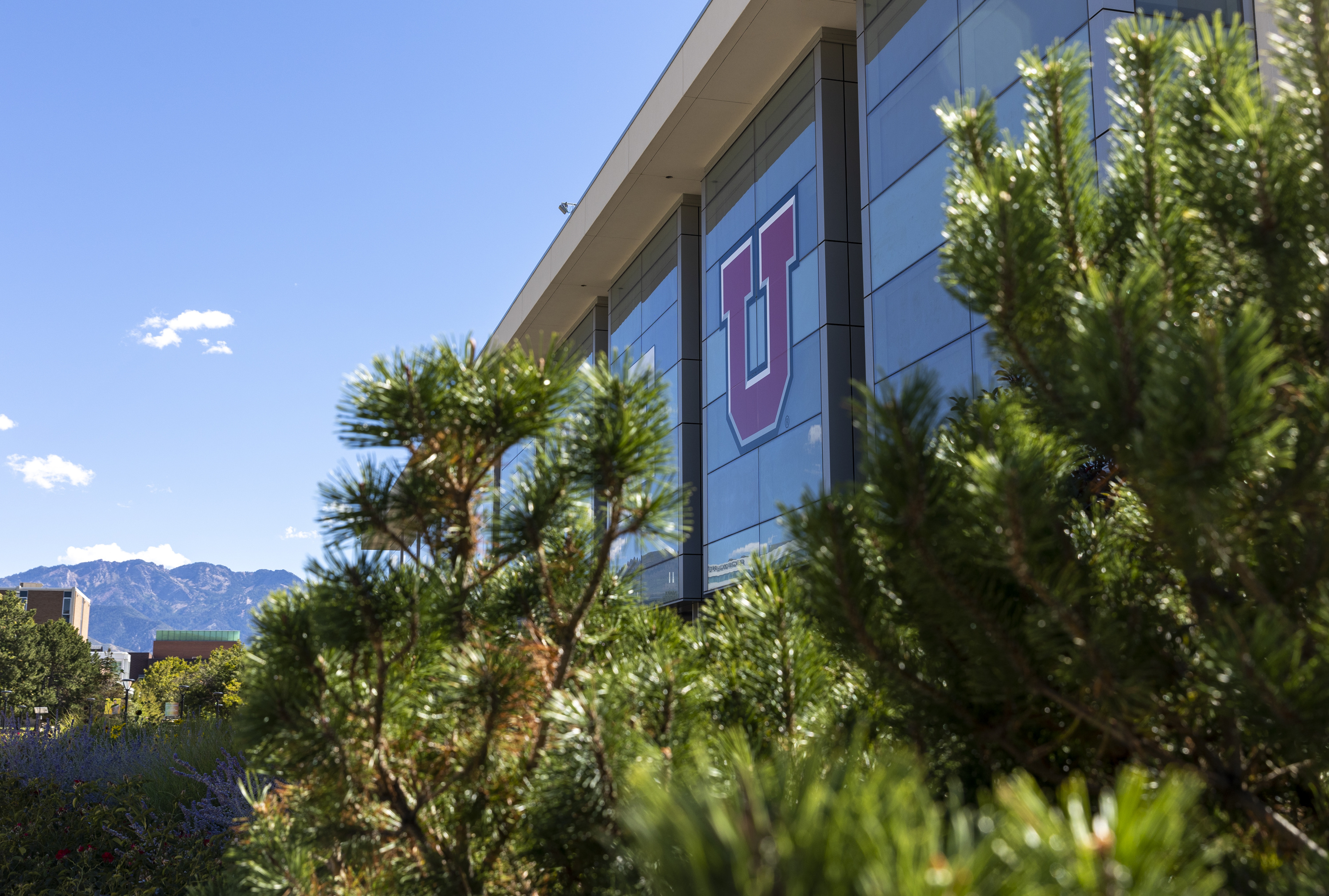 ‘It will light my path’: University of Utah takes Master of Business Creation program global