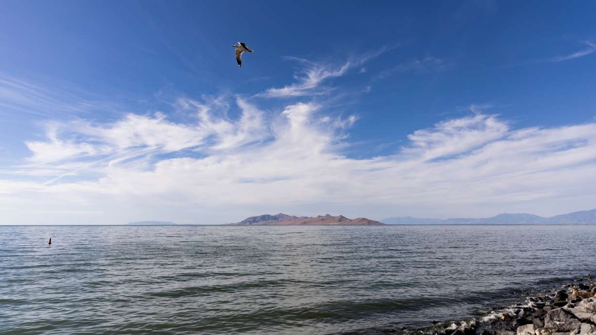 One man drowned while duck hunting on the Great Salt Lake on Tuesday evening.