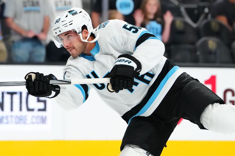 Mammoth defenseman Sean Durzi expected to miss 4 weeks with upper-body injury