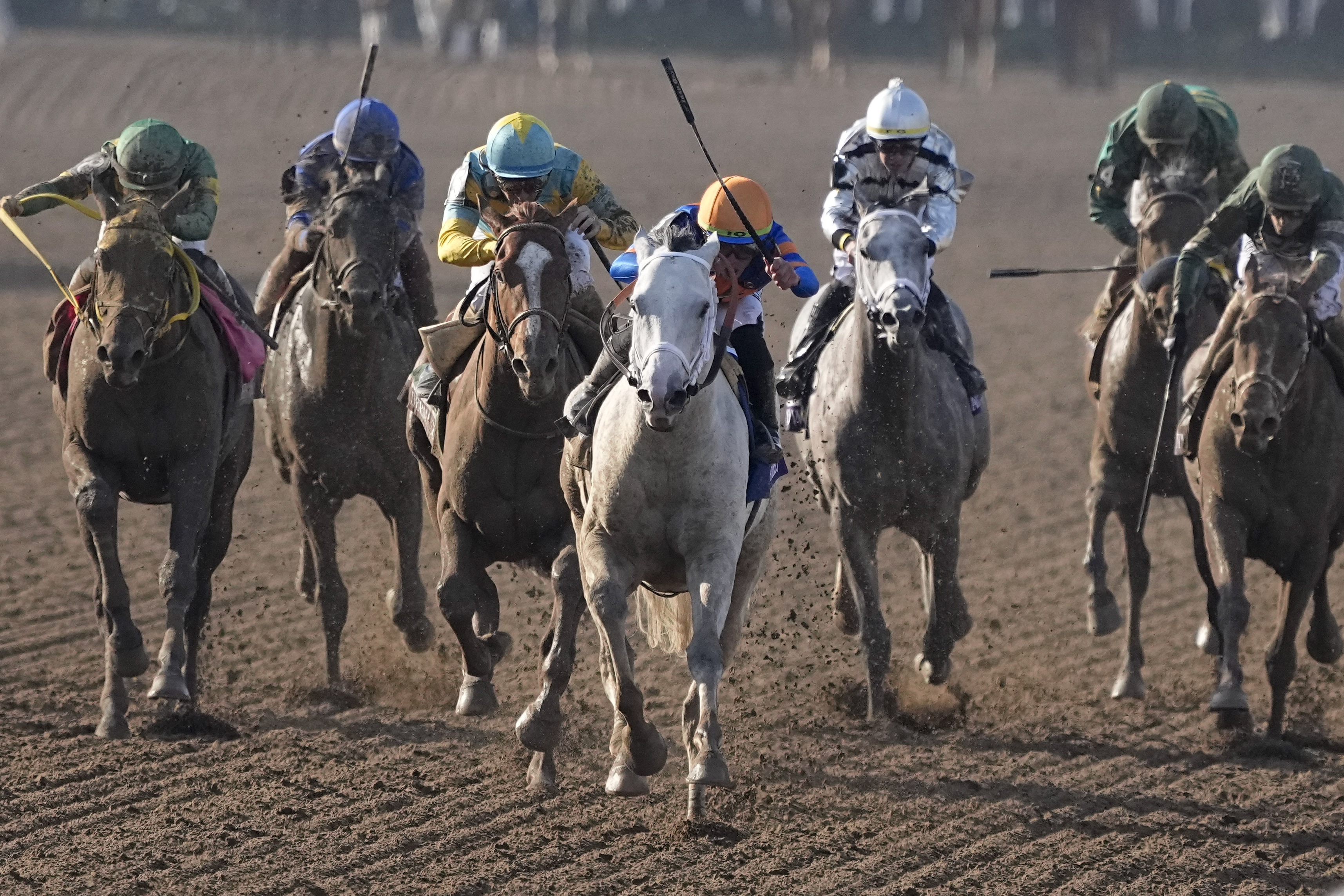 A record 80 foreign horses are pre-entered for Breeders' Cup world championships at Del Mar