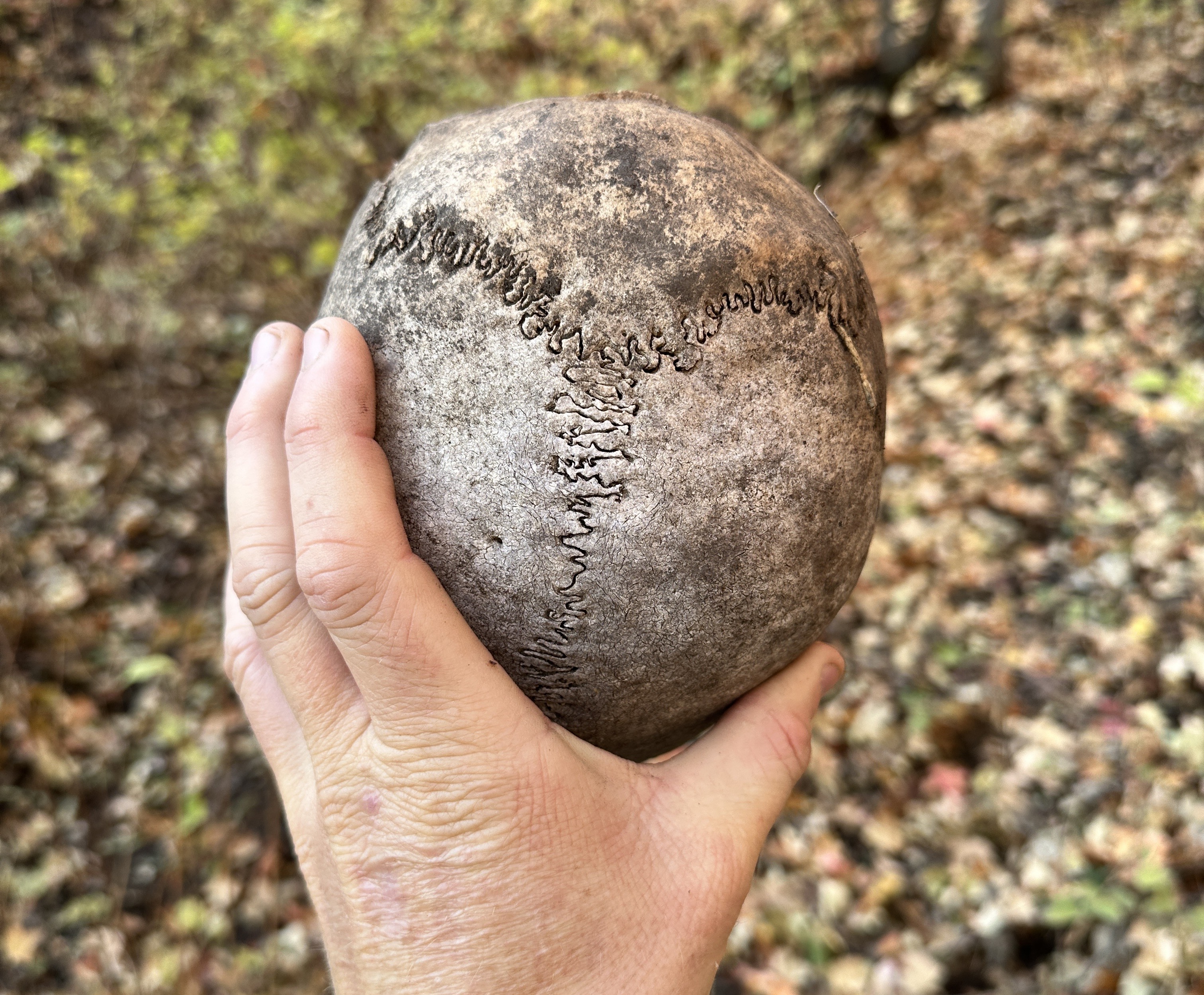 A portion of human skull found in the backcountry of Salt Lake County Oct. 15 by a group of elk hunters.