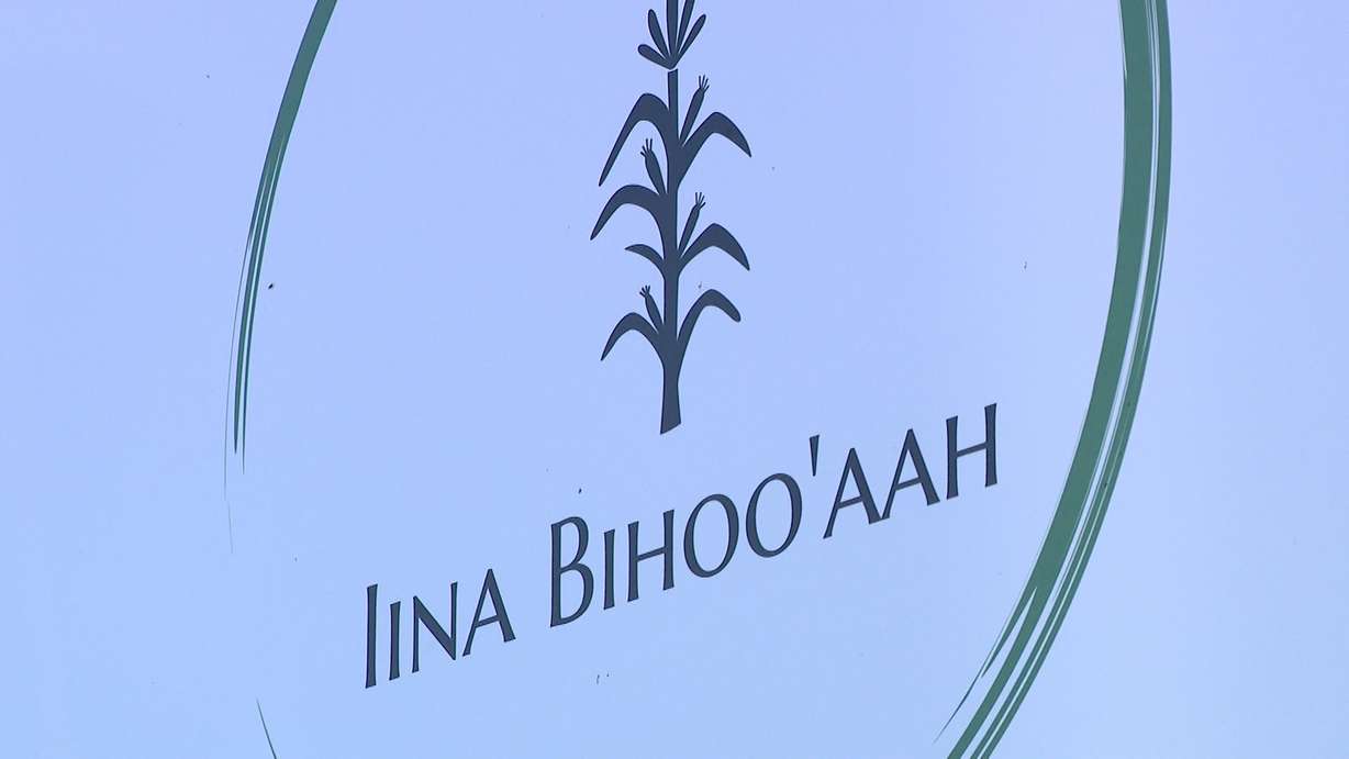 The logo for the Iina Bihooāaah Program is shown. In Navajo, it means life learning.